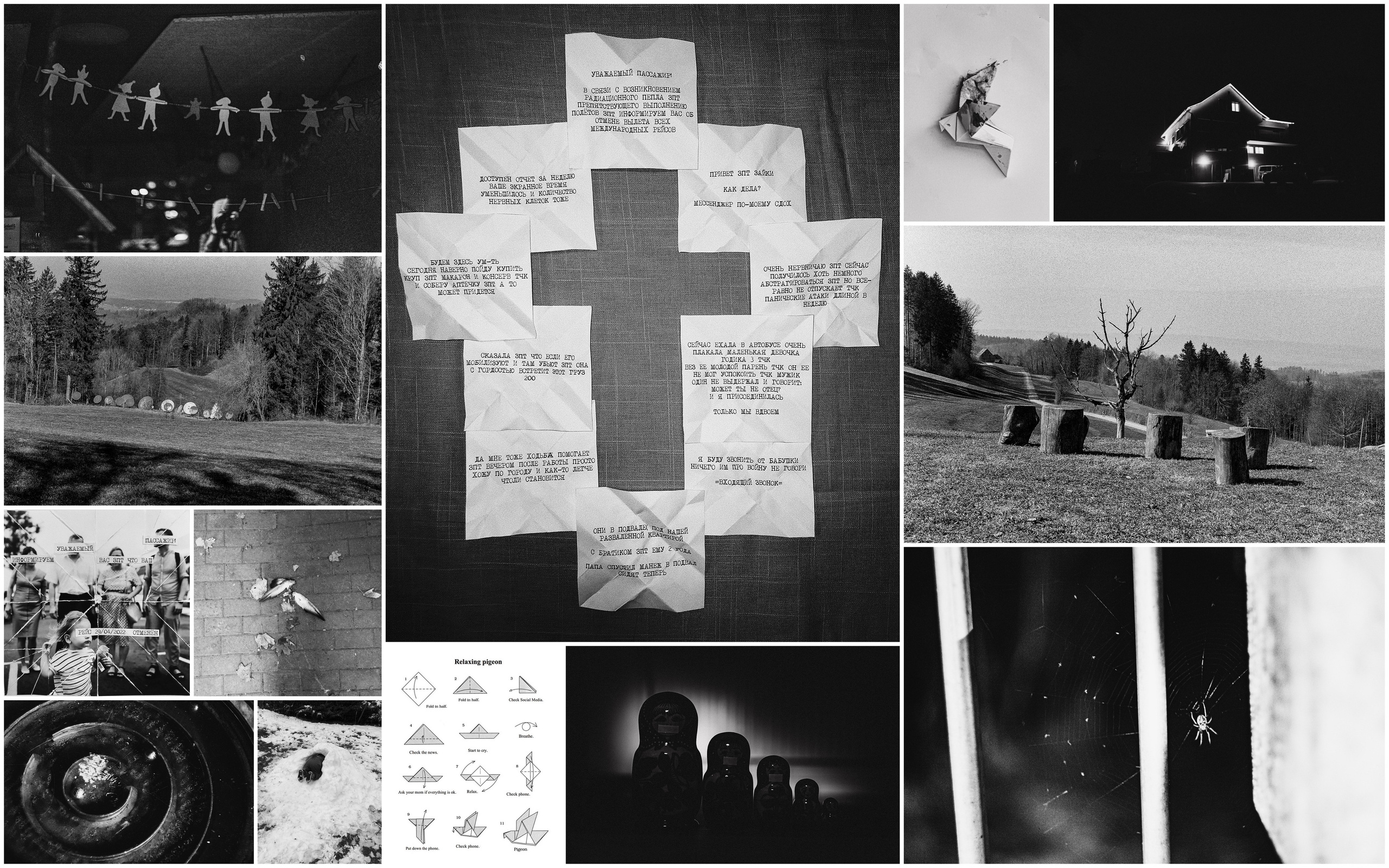 Дикая планета с 20 мая по 20 июля 2022