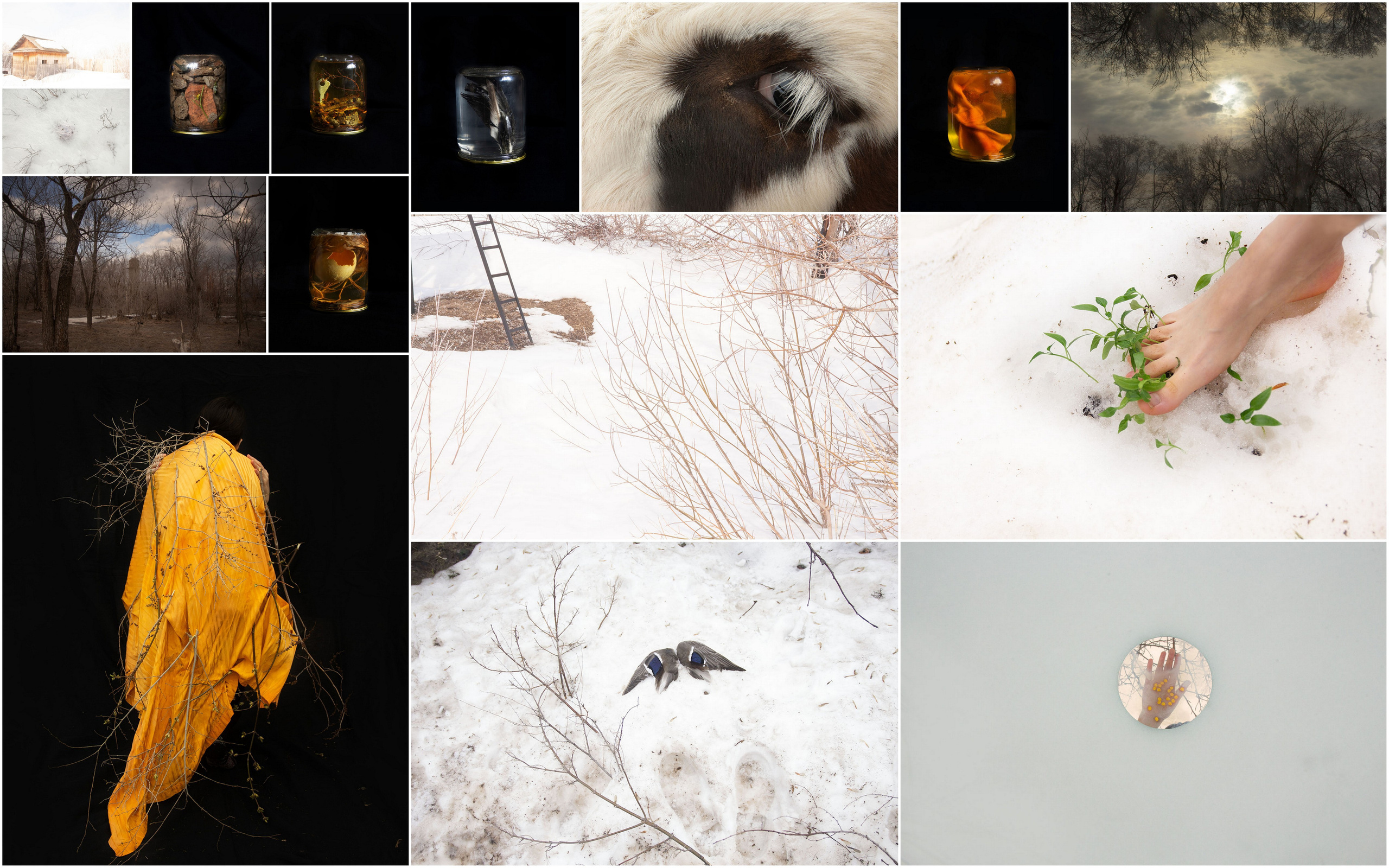 Дикая планета с 20 мая по 20 июля 2022