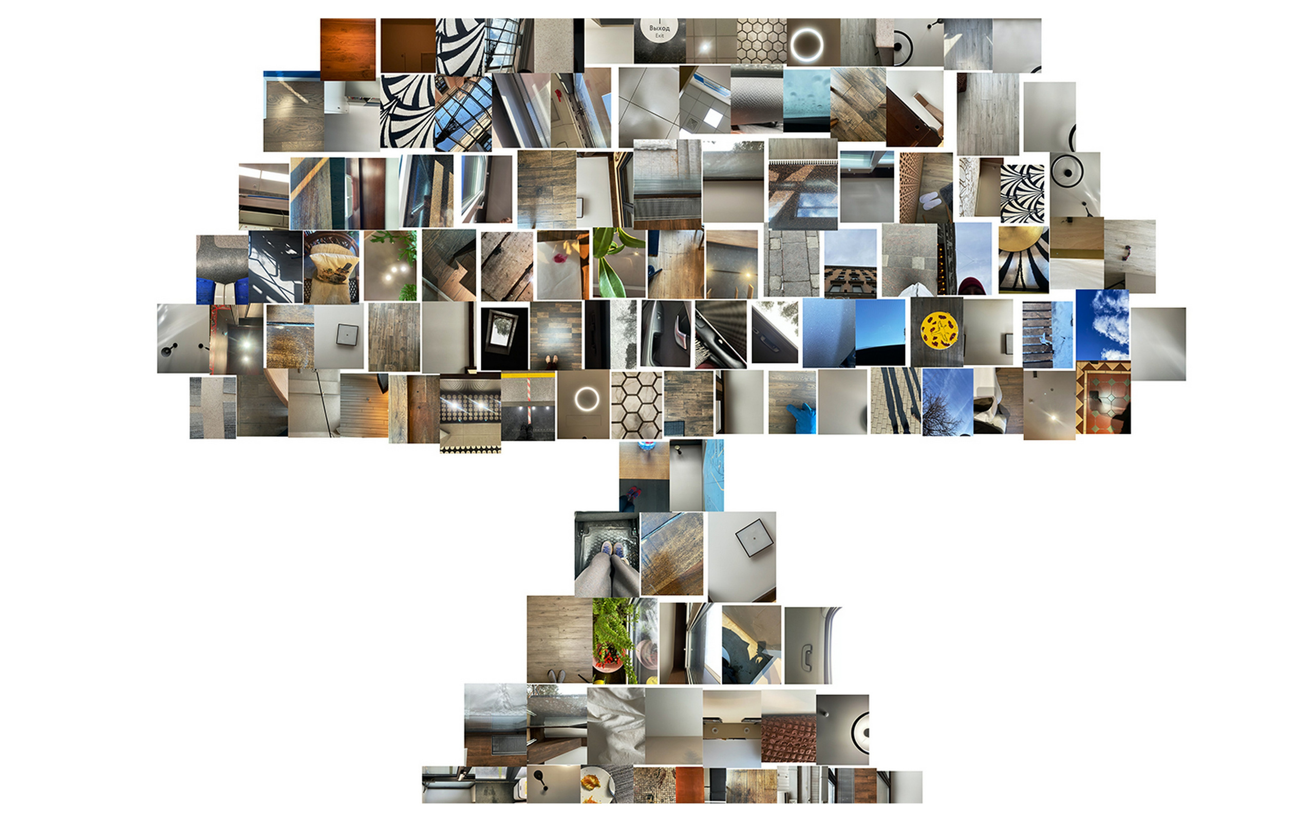 Дикая планета с 20 мая по 20 июля 2022