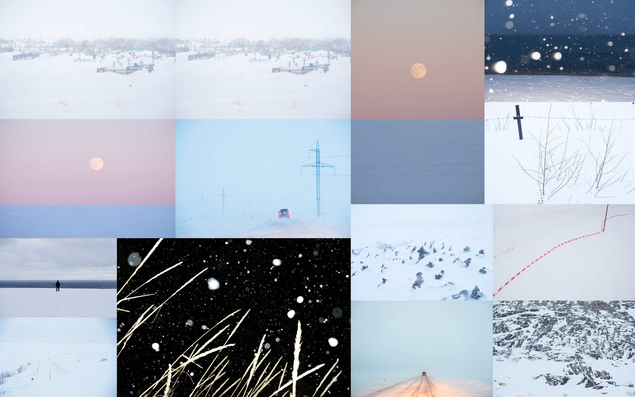 Дикая планета с 20 мая по 20 июля 2022