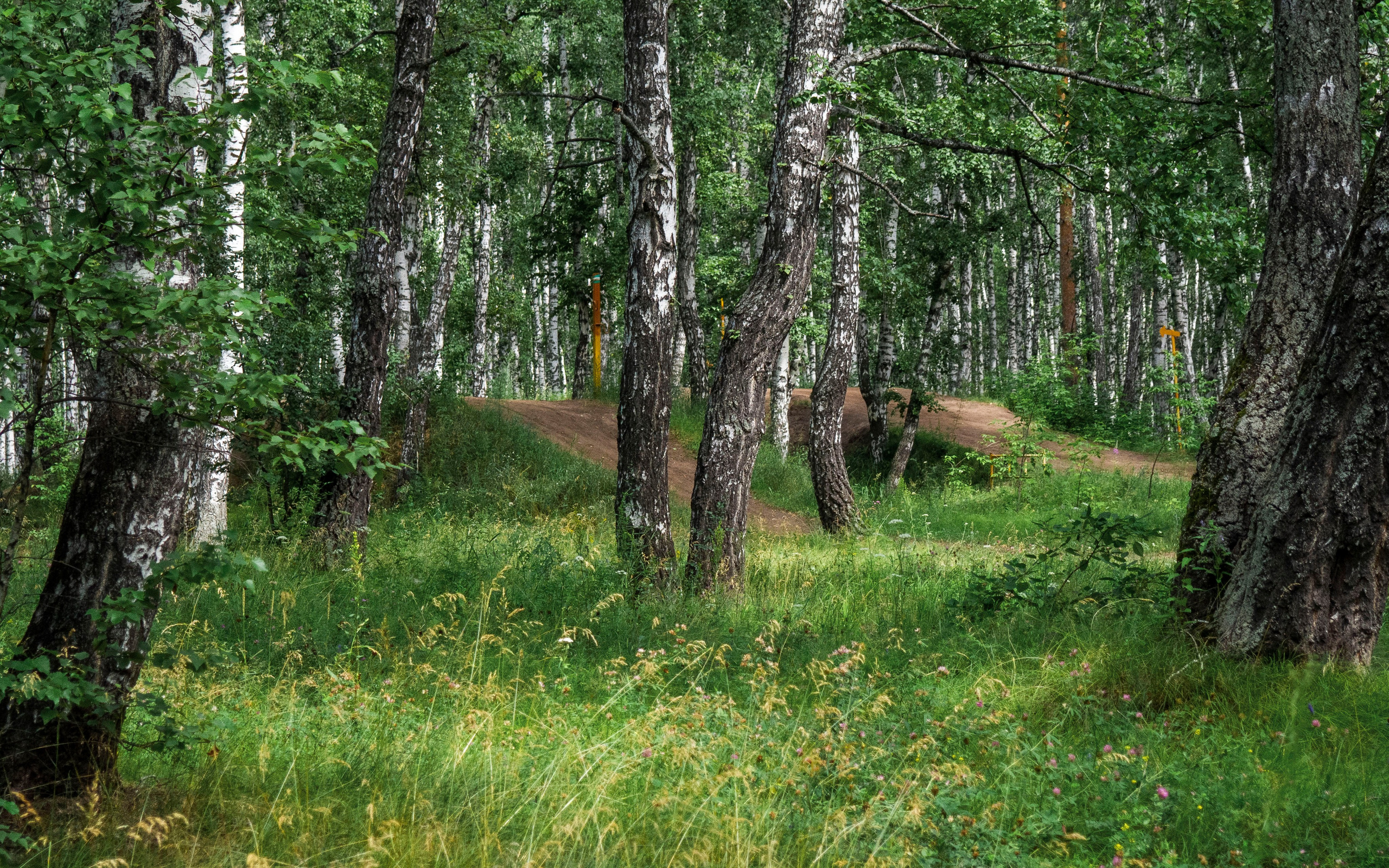 Примечательные места. Гагаринский парк в Тюмени