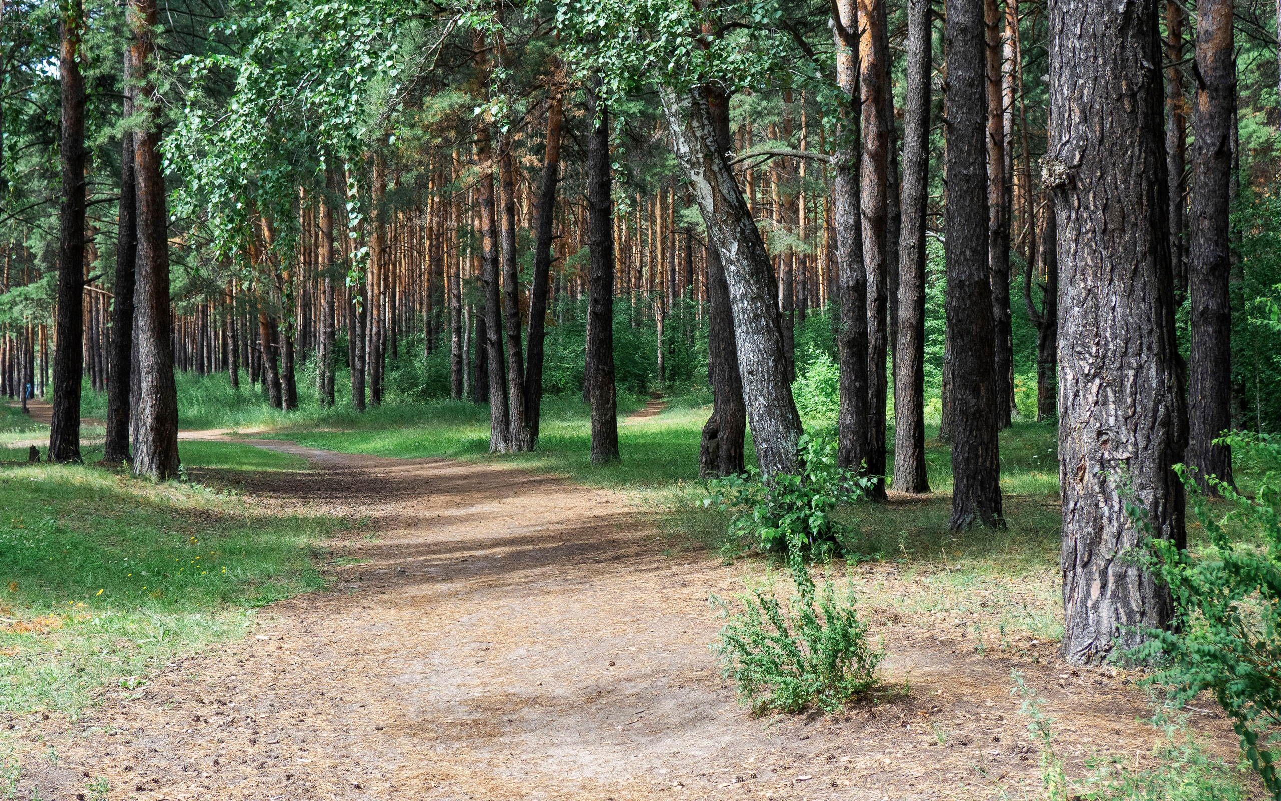 Примечательные места. Гагаринский парк в Тюмени