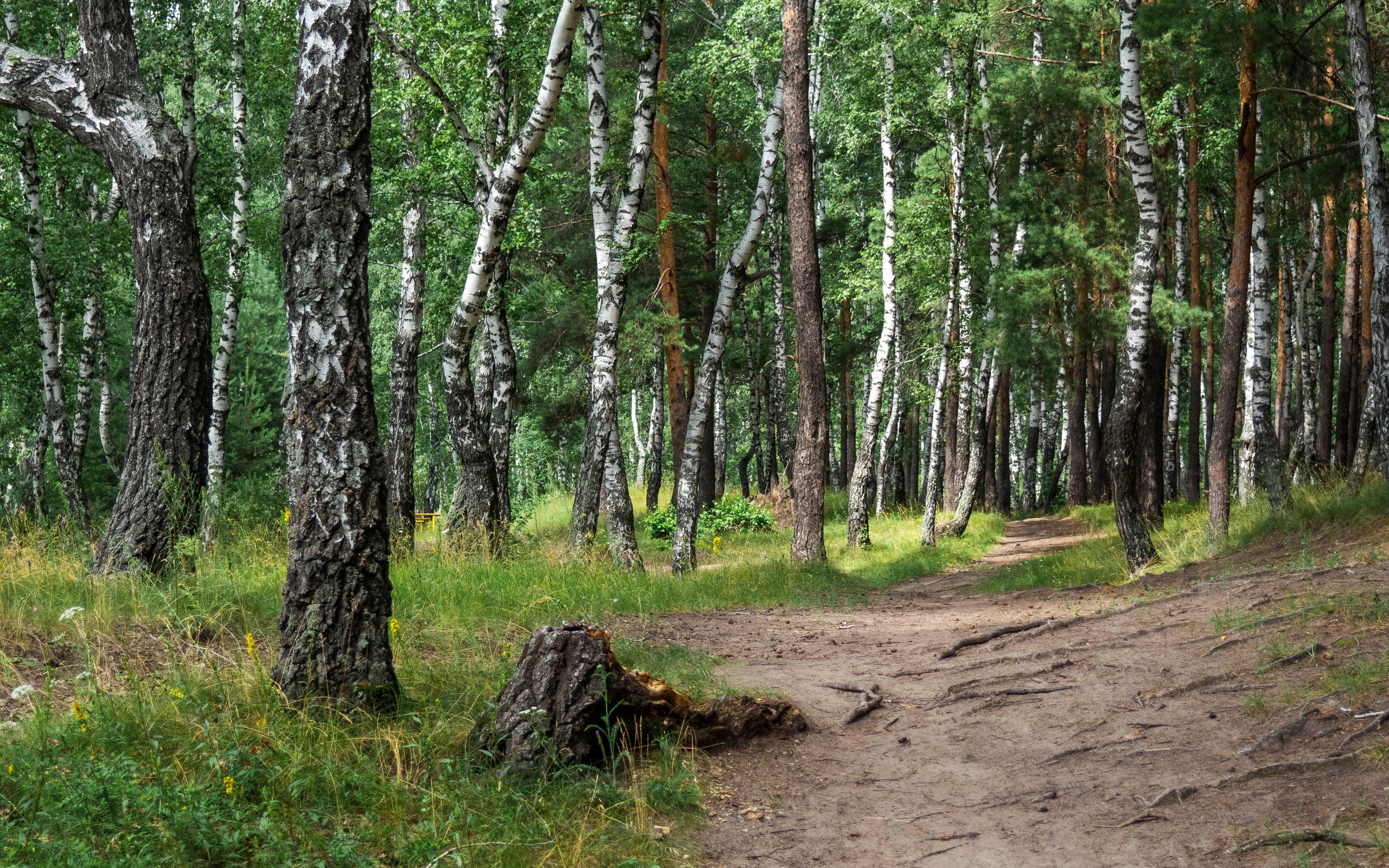 Примечательные места. Гагаринский парк в Тюмени