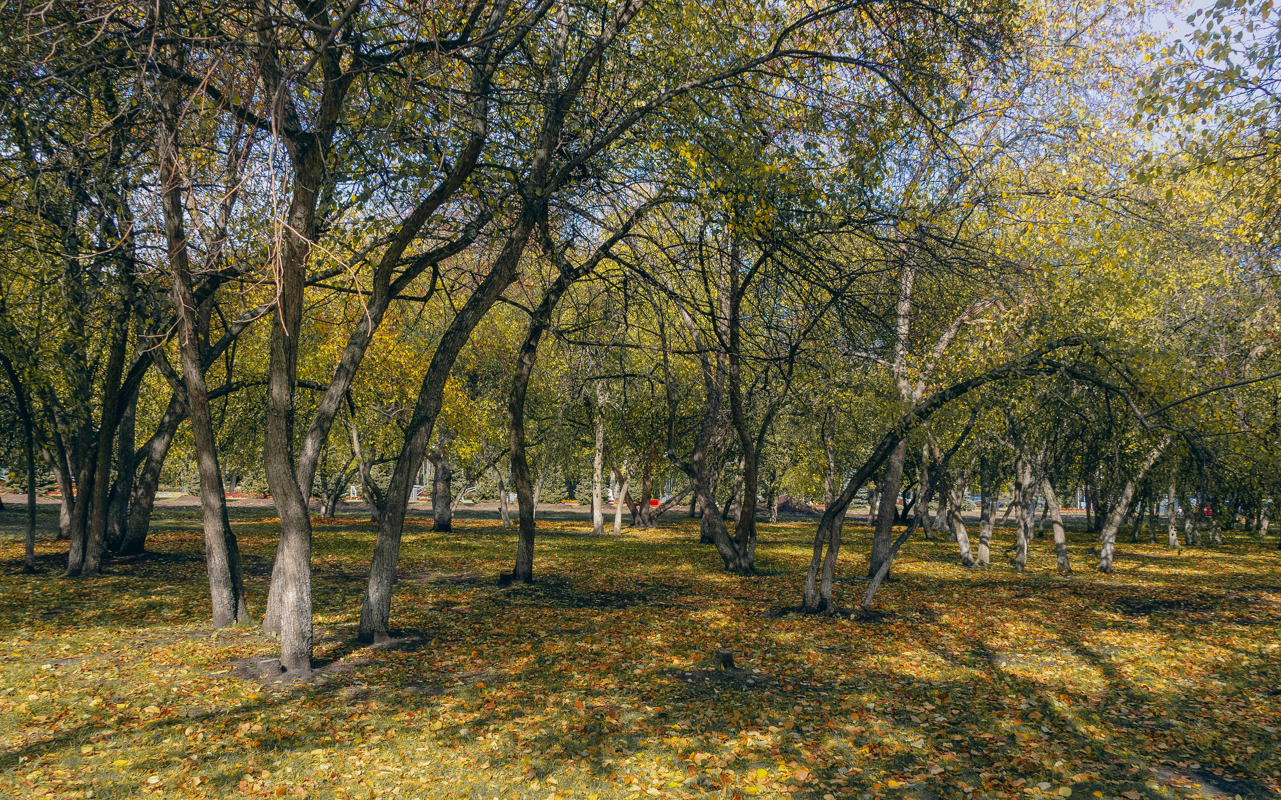 Примечательные места. Площадь Памяти в Тюмени