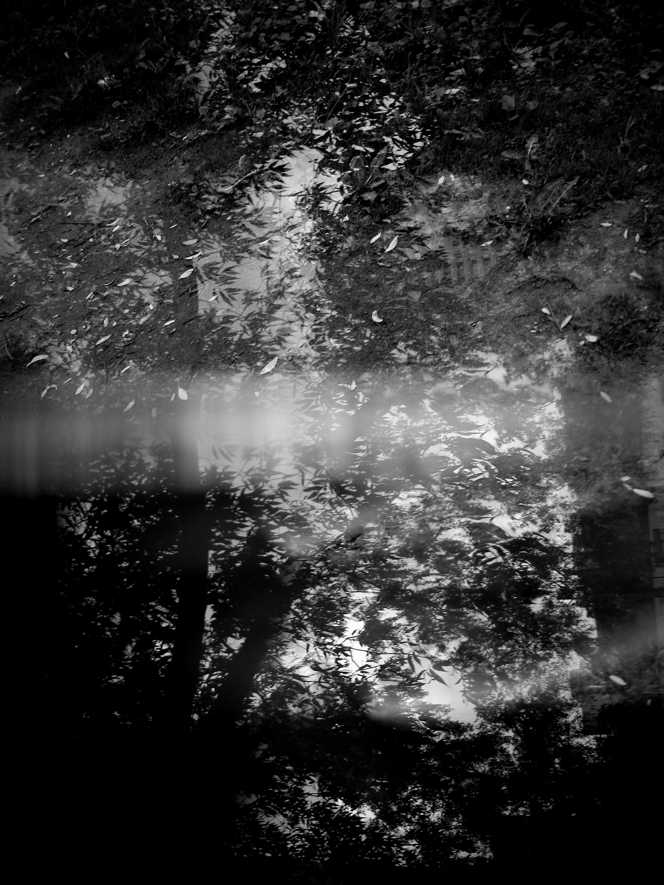 Зной. Roman Hodirev is an esoteriologist, multidisciplinary artist, photographer and musician. Saint Petersburg, Riga