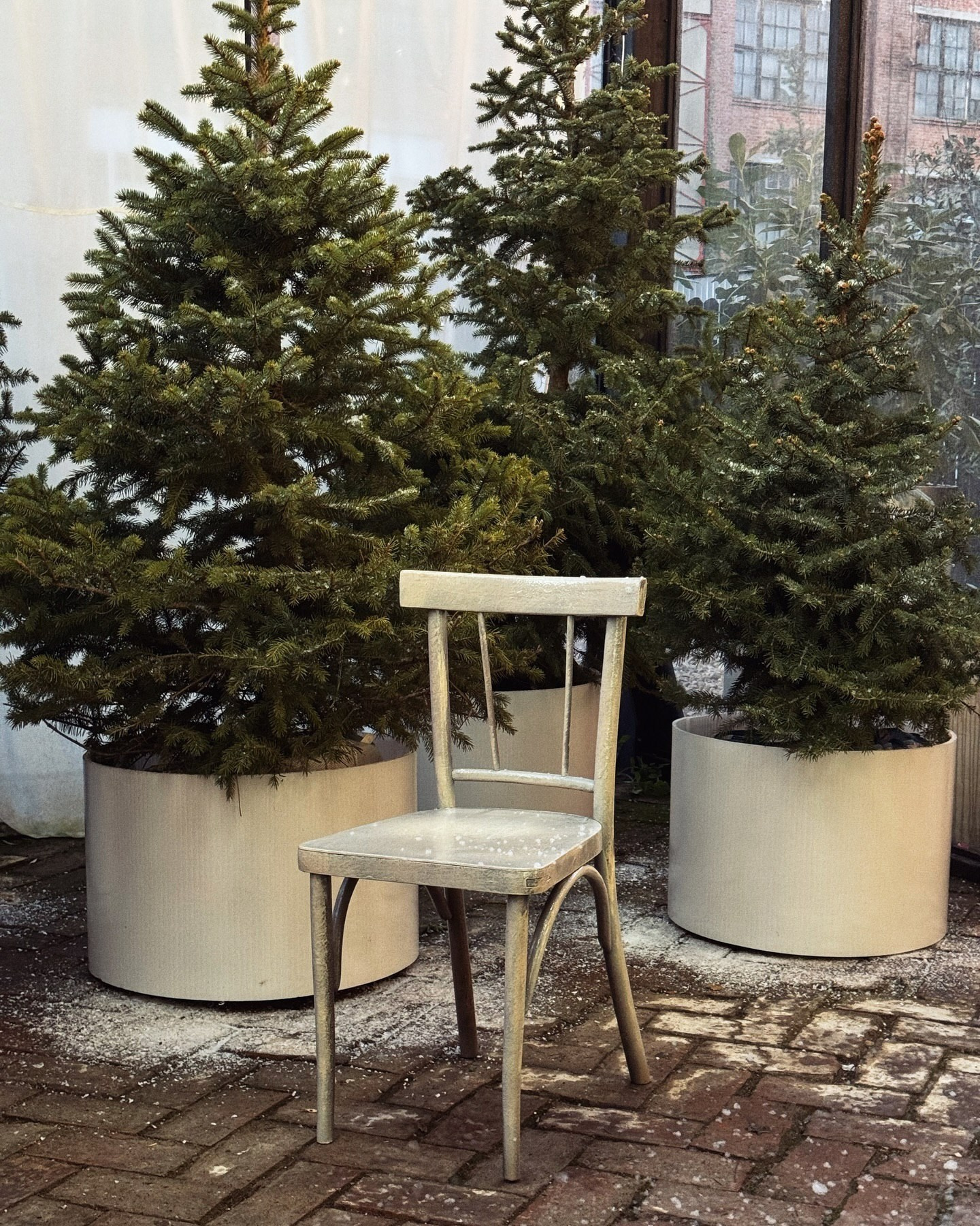 Самые стильные новогодние фотостудии в Краснодаре. Свадебный и семейный фотограф Виолетта Сидельникова. Краснодар, Россия, Беларусь, Европа