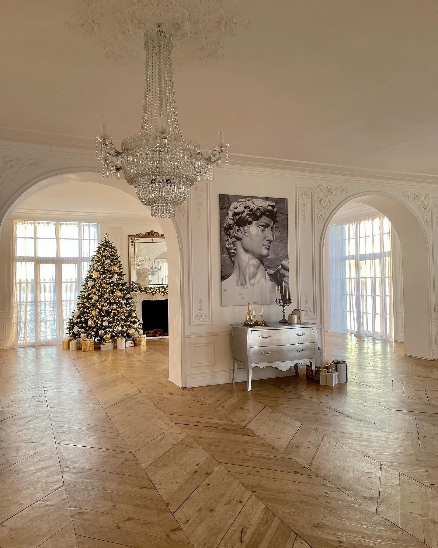 Классические залы для новогодней фотосъемки. Портретный и семейный фотограф в Санкт-Петербурге Чугунова Анастасия