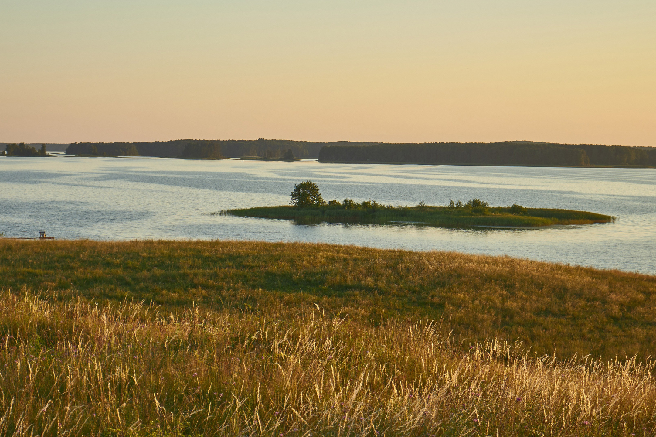 艺术印刷品 – 限量版摄影，装点您的空间
