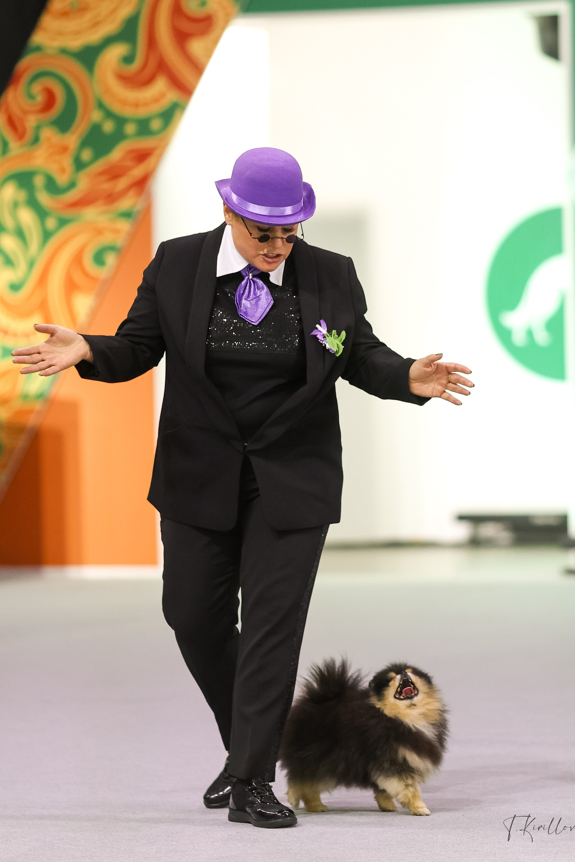 Портфолио. Фотограф-анималист в Москве Кириллова Татьяна