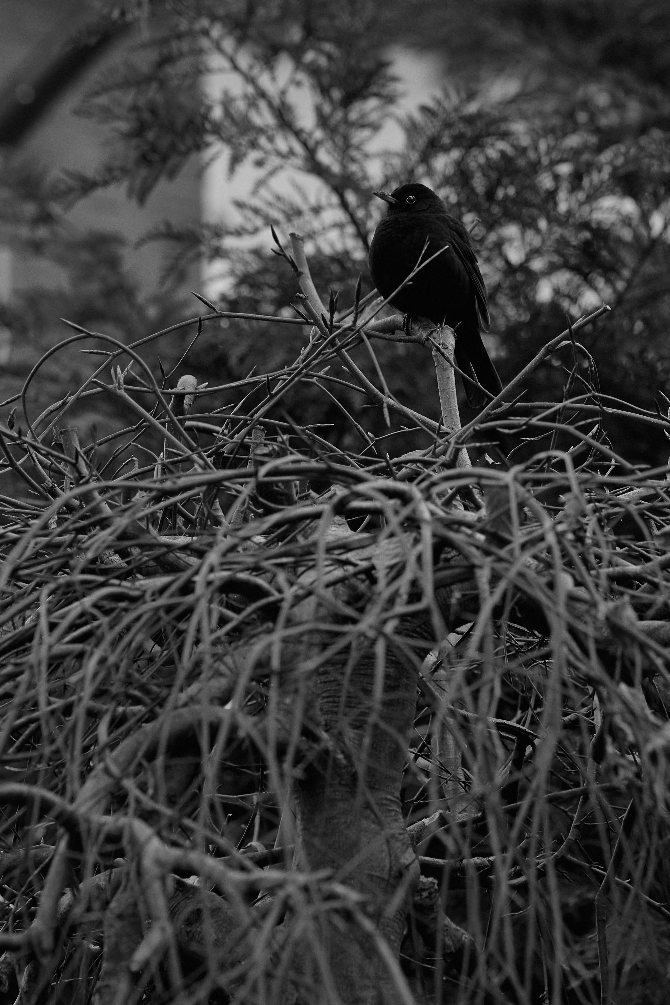 Снова Светлогорск. Фотограф в Москве Анастасия Баева