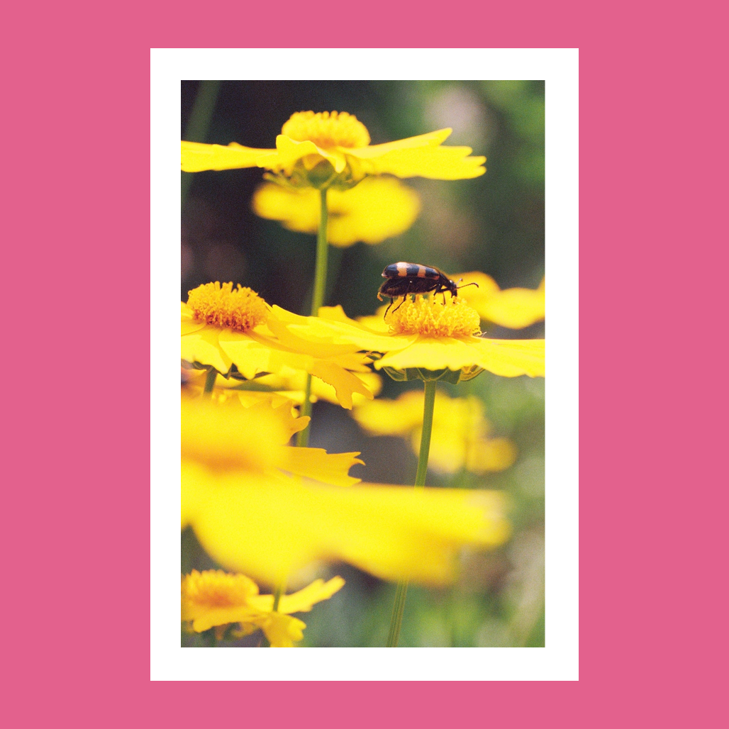 Ассортимент 8 марта