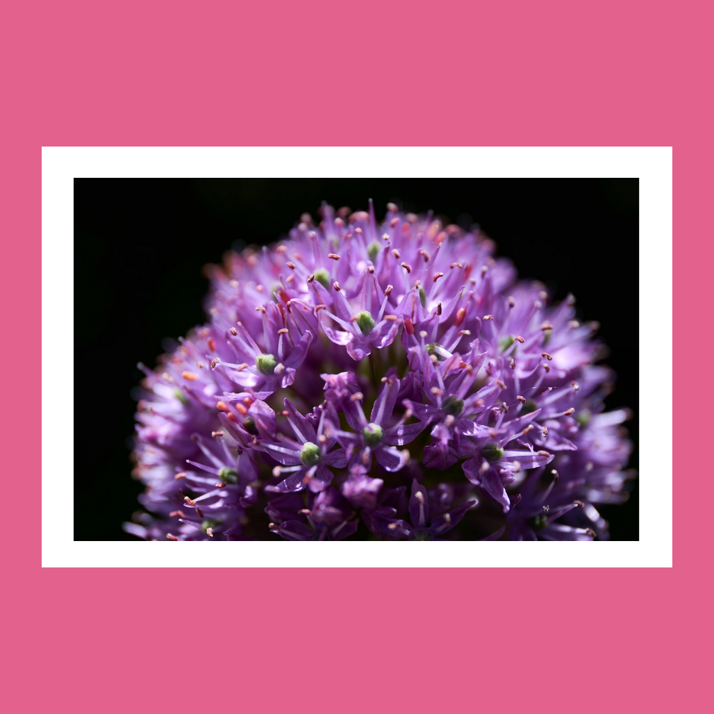 Ассортимент 8 марта