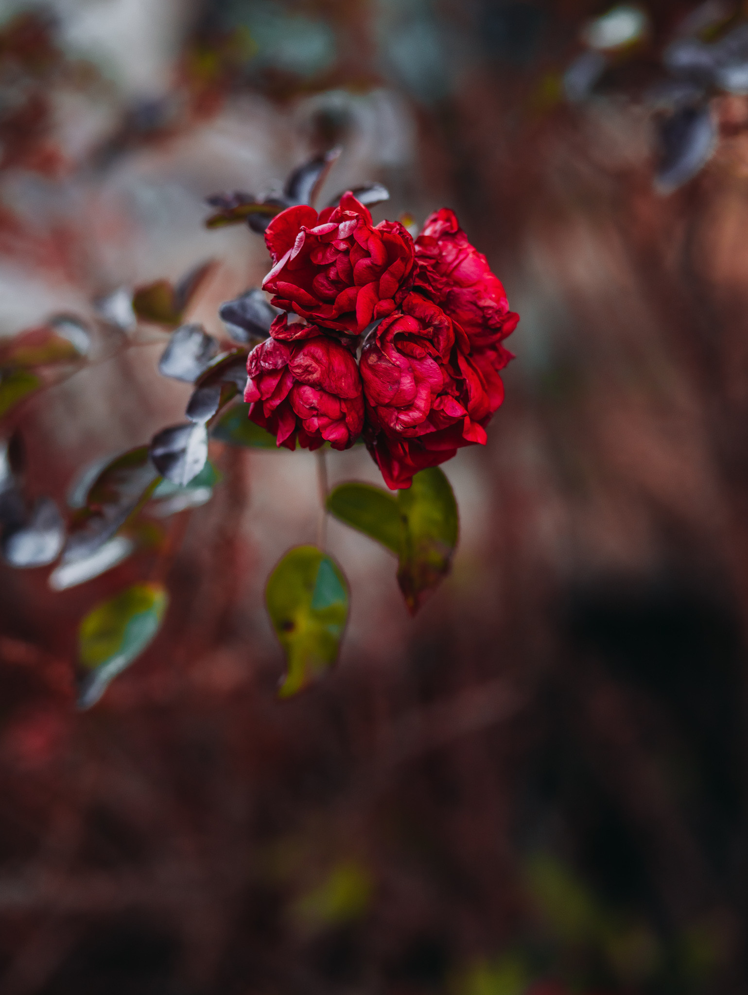 FAQ. Портретный фотограф в Москве Анастасия Потёмкина