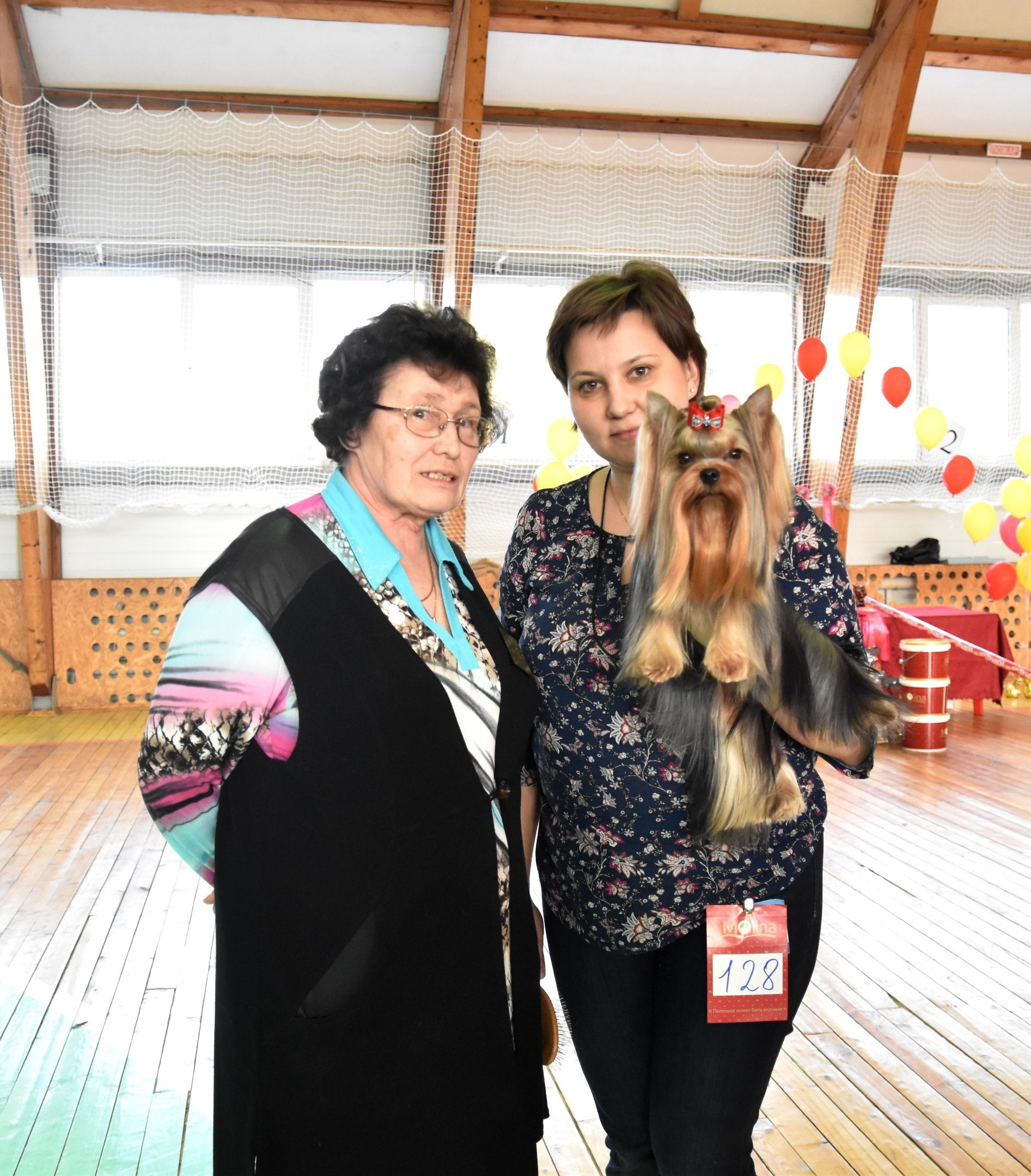 2016 г Результаты выставок. Питомник Йоркширских терьеров Дэнстайл в Санкт-Петербурге заводчик Тих