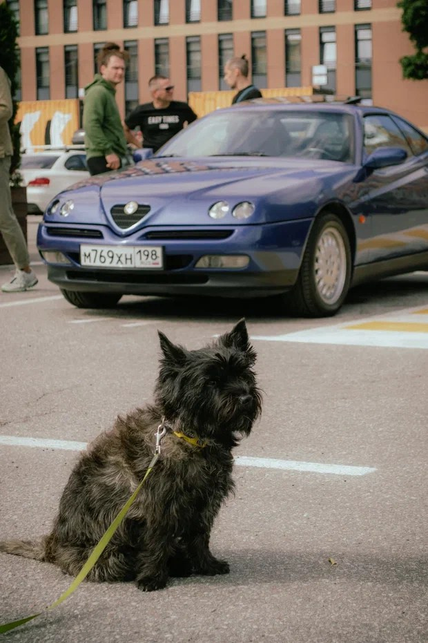 Cars and Coffee 22/04/23. Автомобильный фотограф Антон Цырулев