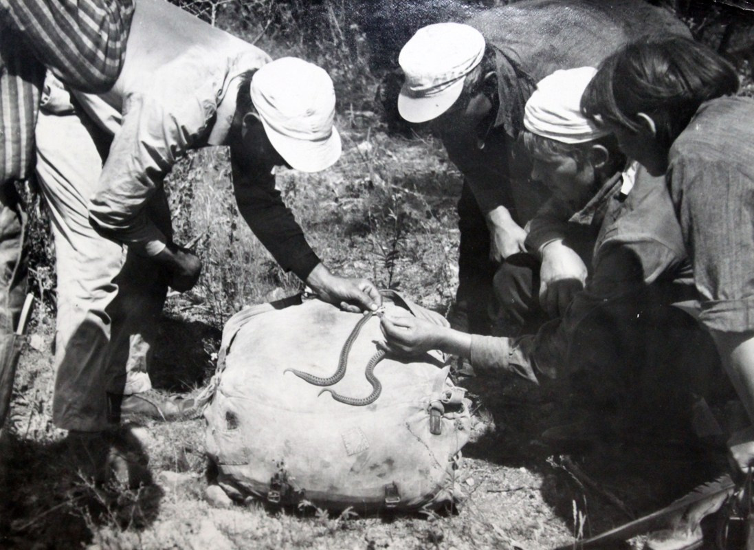 Первая экспедиция туристов-водников Алтая (1970). Фотограф Эдуард Алмадаков