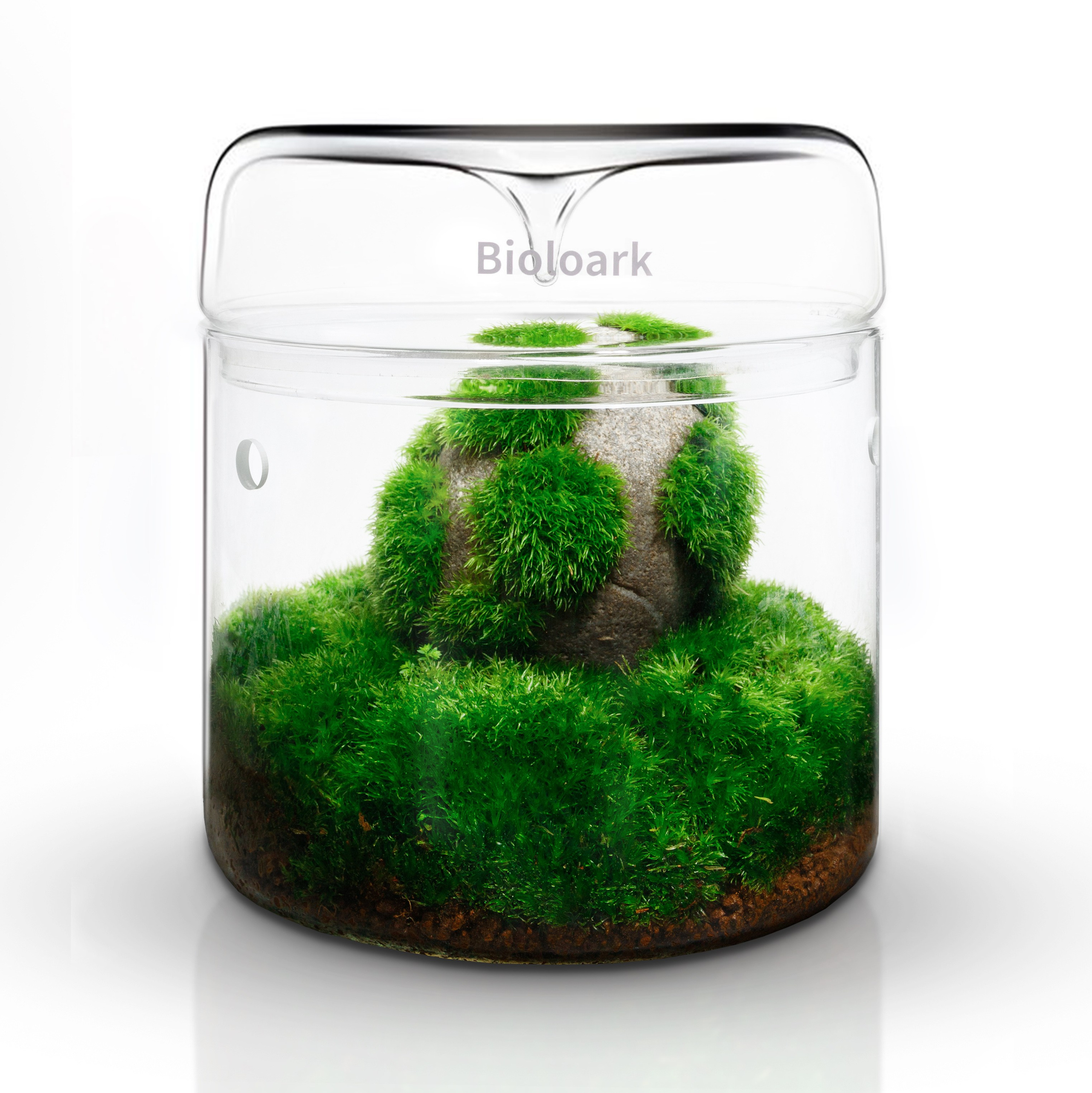 Услуги. Moareesh production. Фотосъёмка для маркетплейсов. Москва