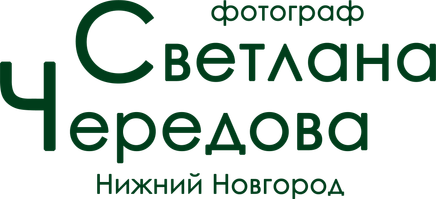 svetlanacheredova.ru