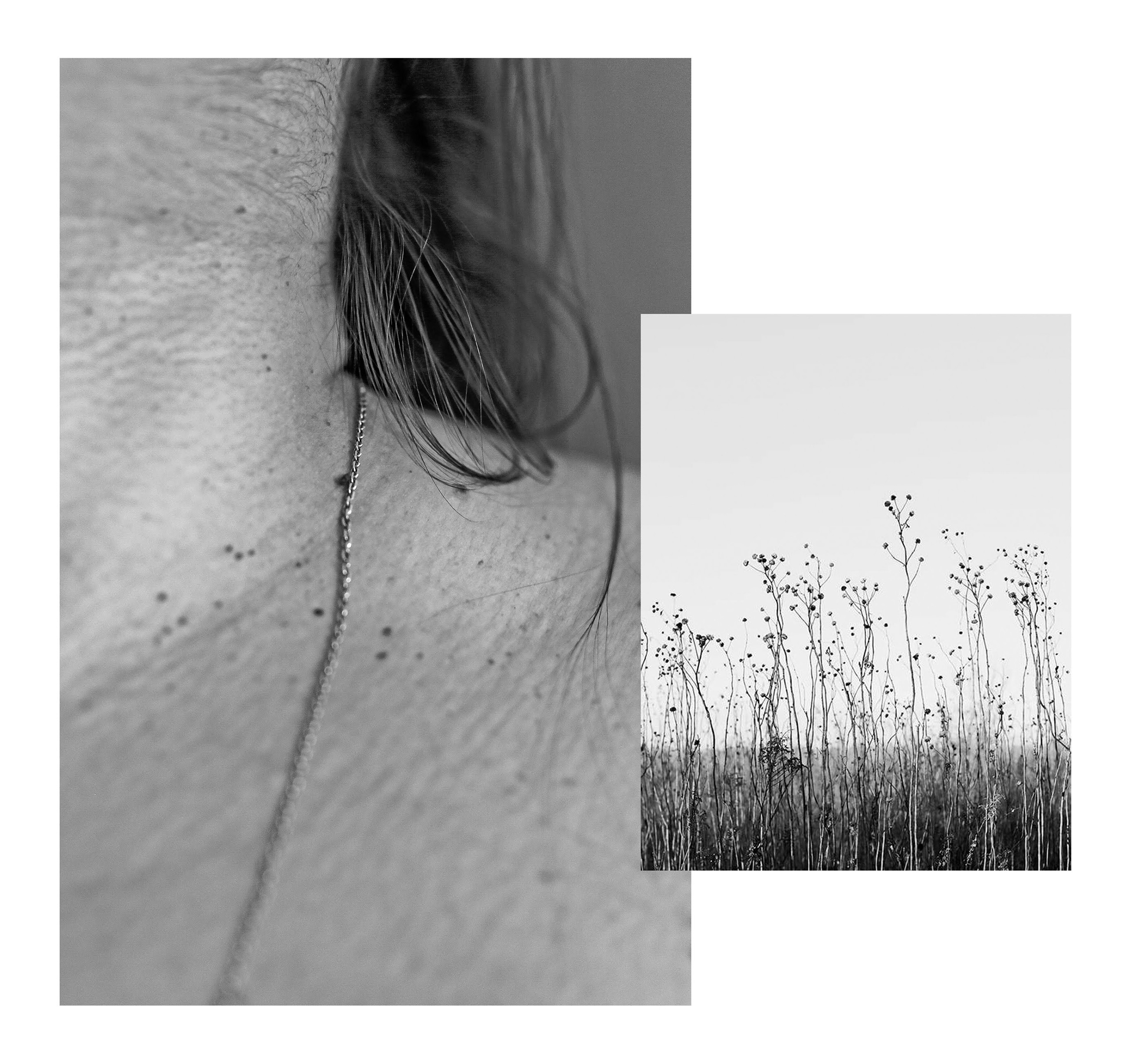 «Природа тела». Наталья Чернобровкина — междисциплинарный художник