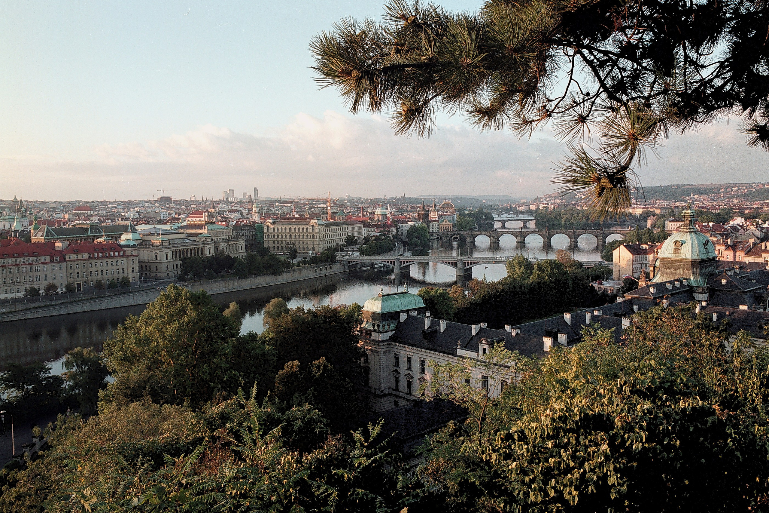 Плёнка. Настоящая «ламповая». Портретный и бизнес-фотограф в Москве Андрей Никольский