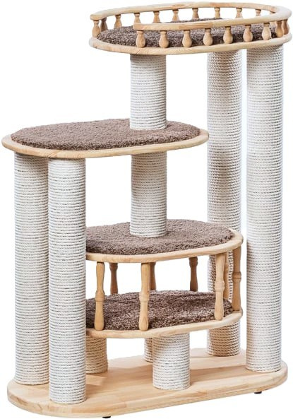 Котёнок американской бурмы. Las Burmas — питомник американской бурмы традиционных линий