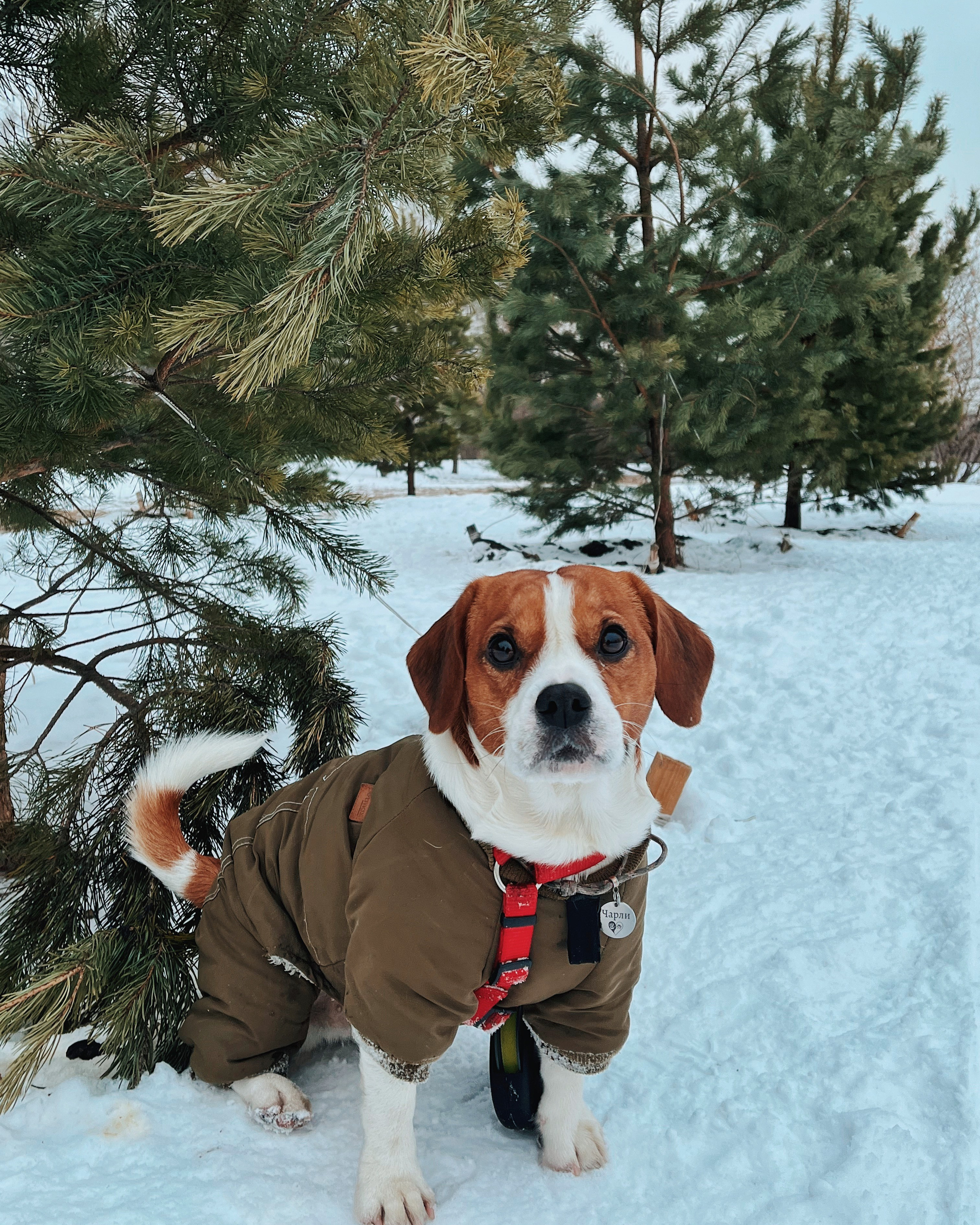 Каталог моделей. DEWA | фотостудия для маркетплейсов