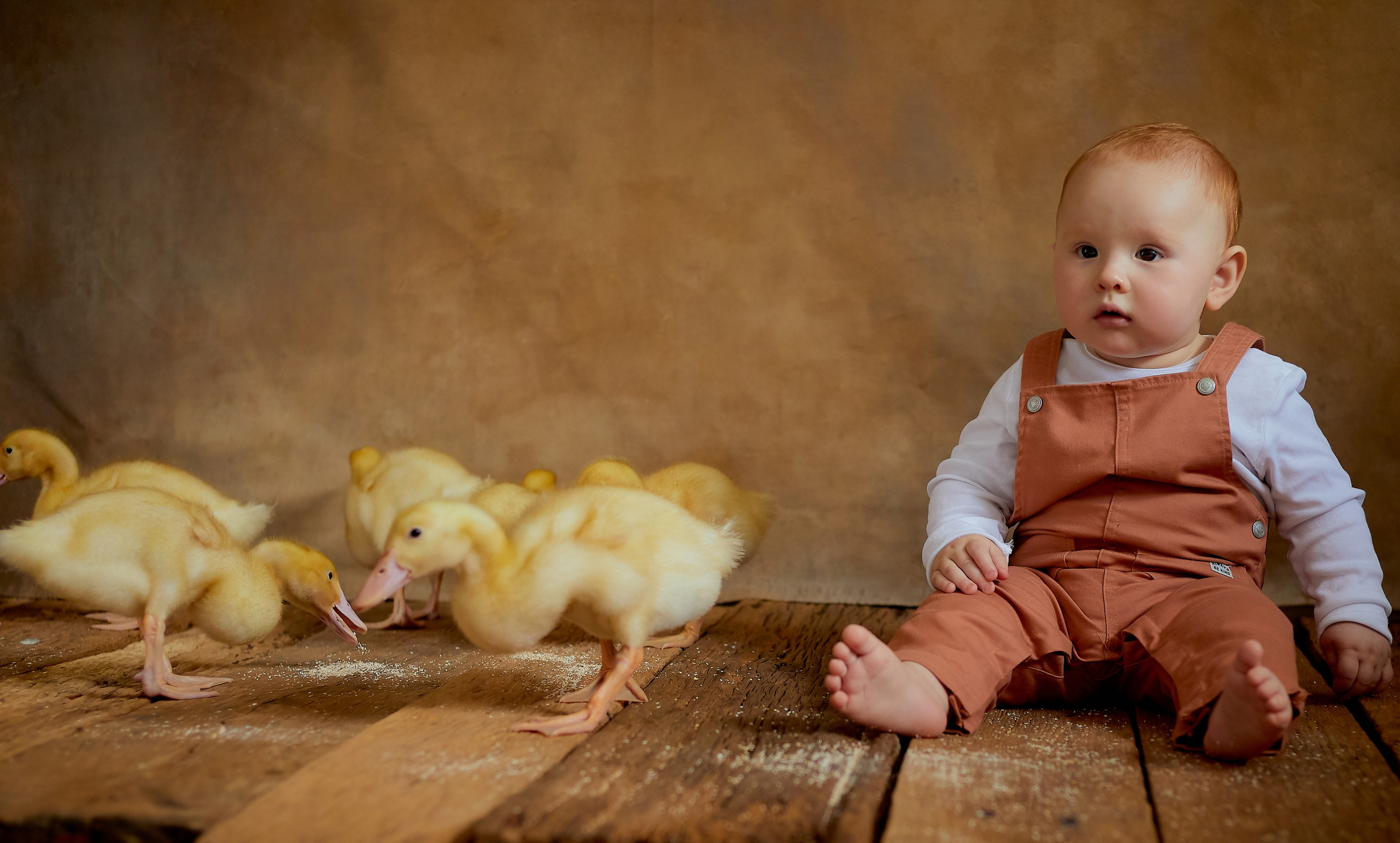 Стоимость Ньюборн. Семейный и детский фотограф в Ярославле Юлия Галашина