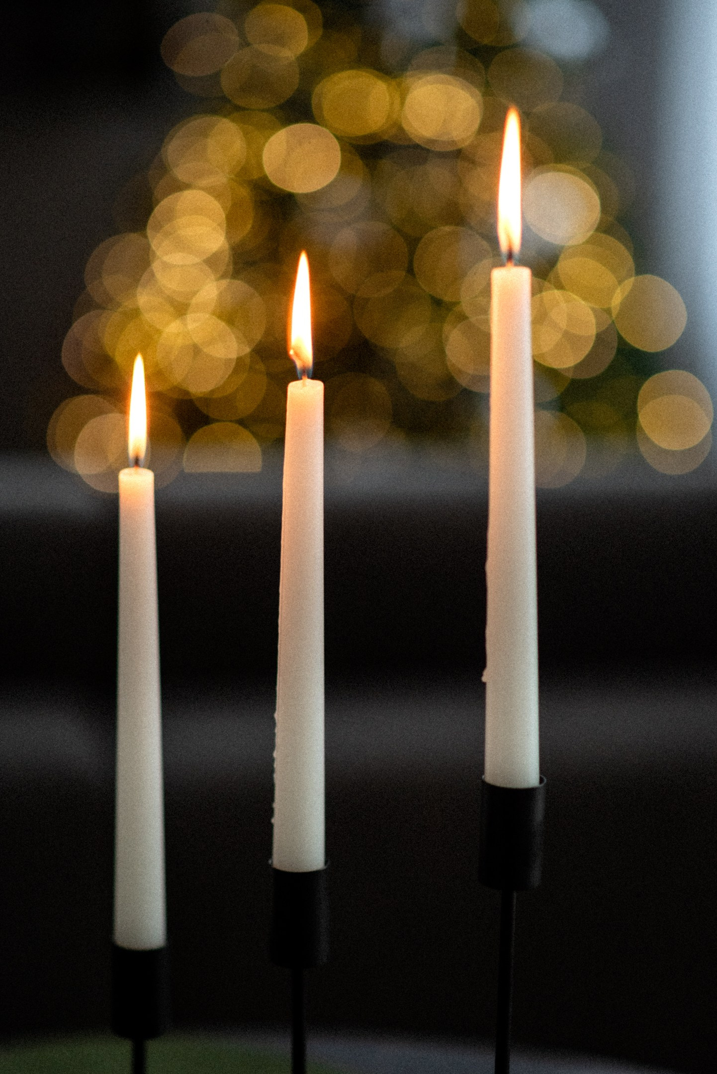 Подарочный сертификат. Свадебный и портретный фотограф в Брянске Алена Авраменко