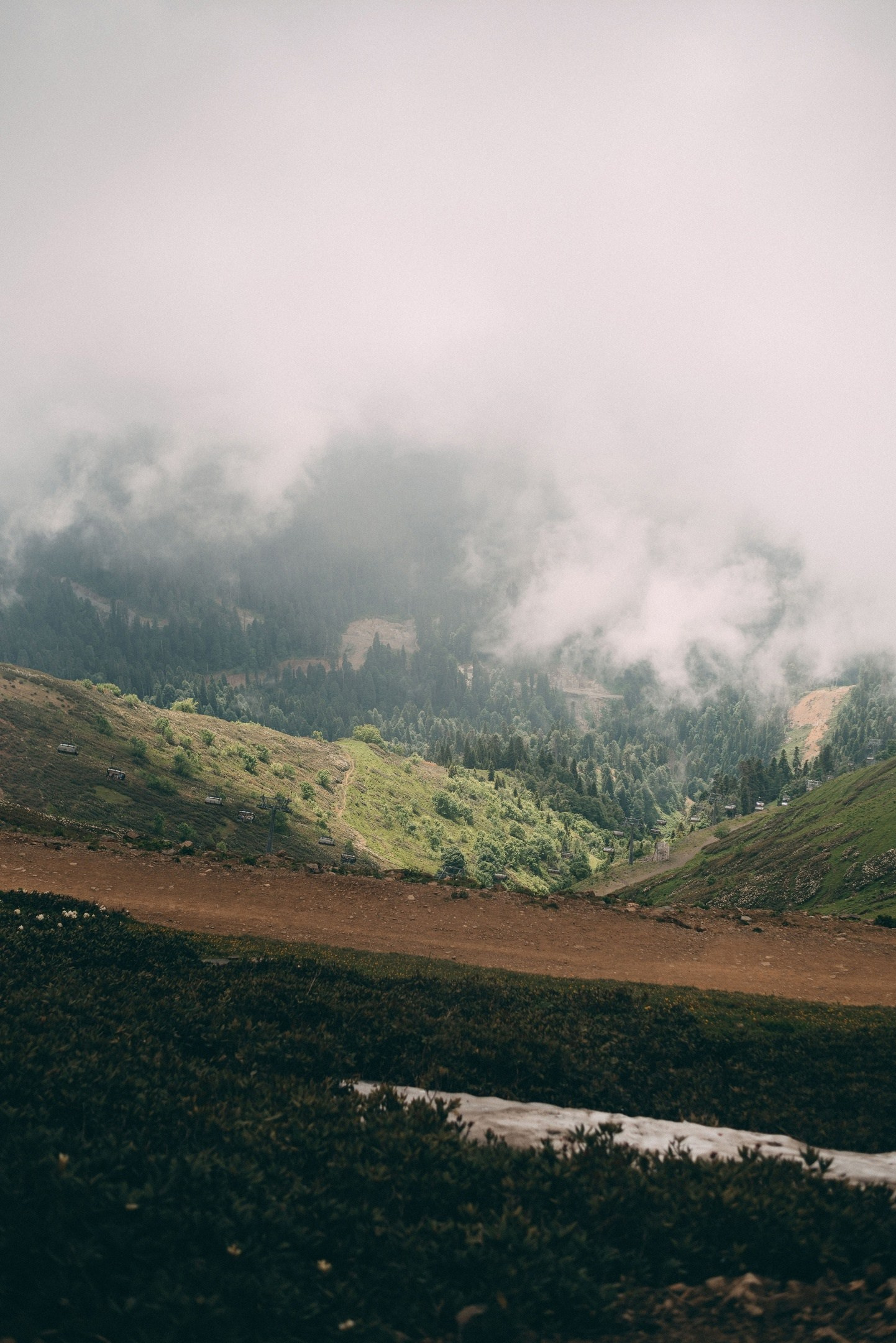 Фотосессия в горах Красной поляны, Рита Поганова. Фотограф в Сочи — Маргарита Поганова