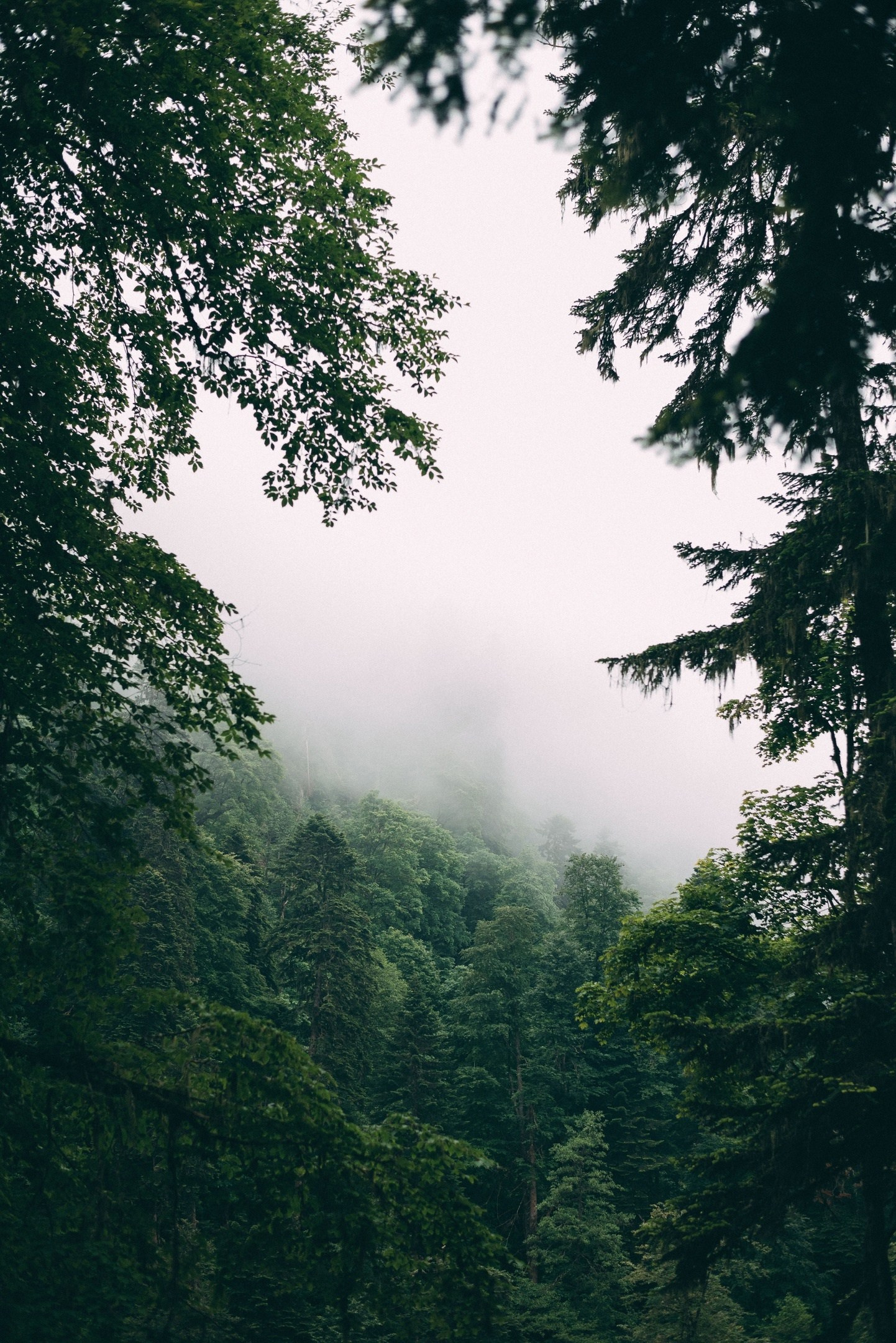 Фотосессия в горах Красной поляны, Рита Поганова. Фотограф в Сочи — Маргарита Поганова