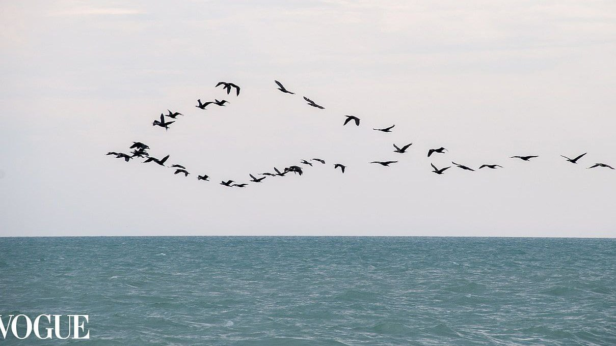 Вопросы и ответы. Портретный, семейный фотограф Марина Моисеева