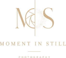 alisa.wfolio.pro