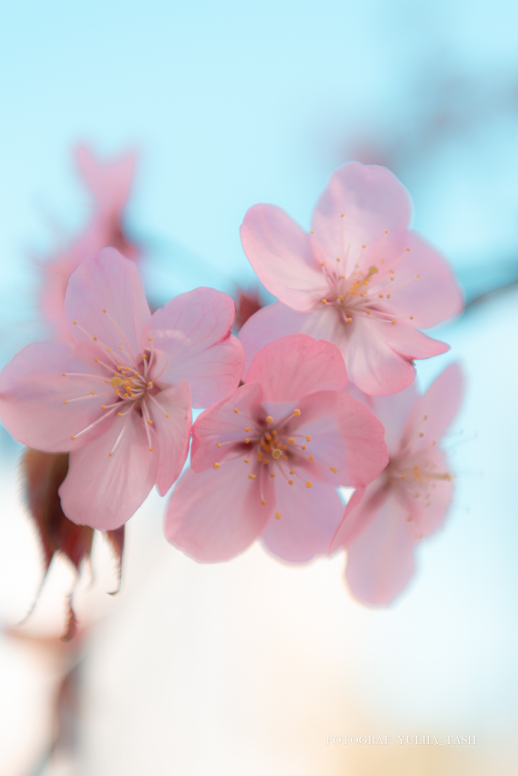 Пробуждение. Любимый фотограф