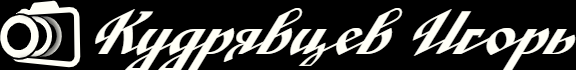 kudryvcev.ru