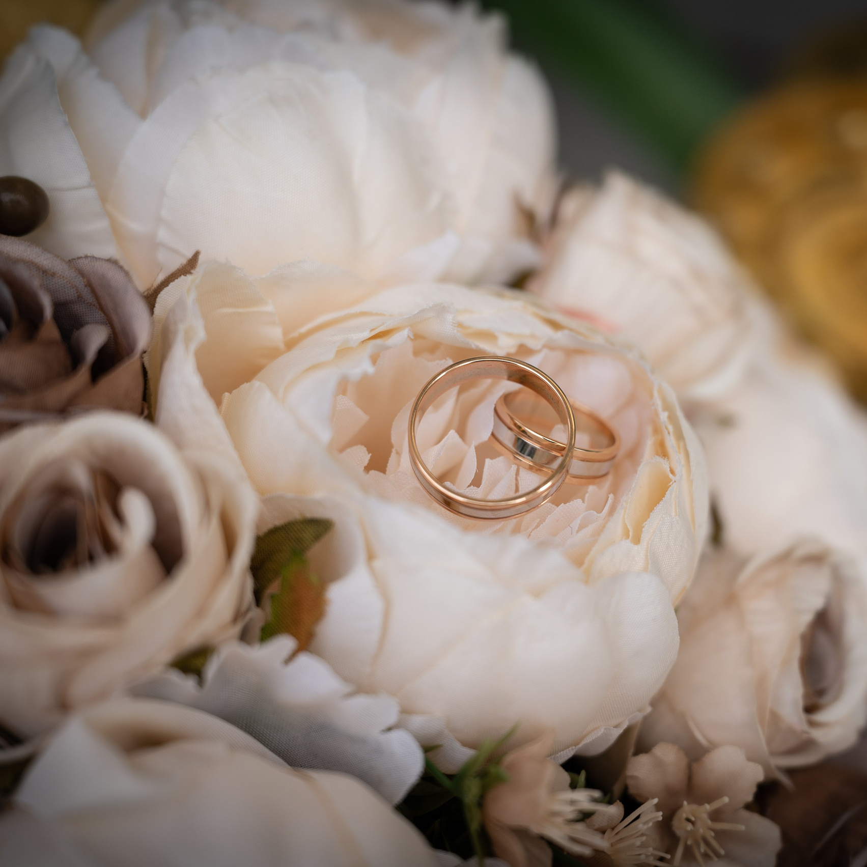 Виды фото услуг и стоимость на съемку. Фотограф Алиса Канцибер. Москва. Портрет, семейное фото, свадьбы