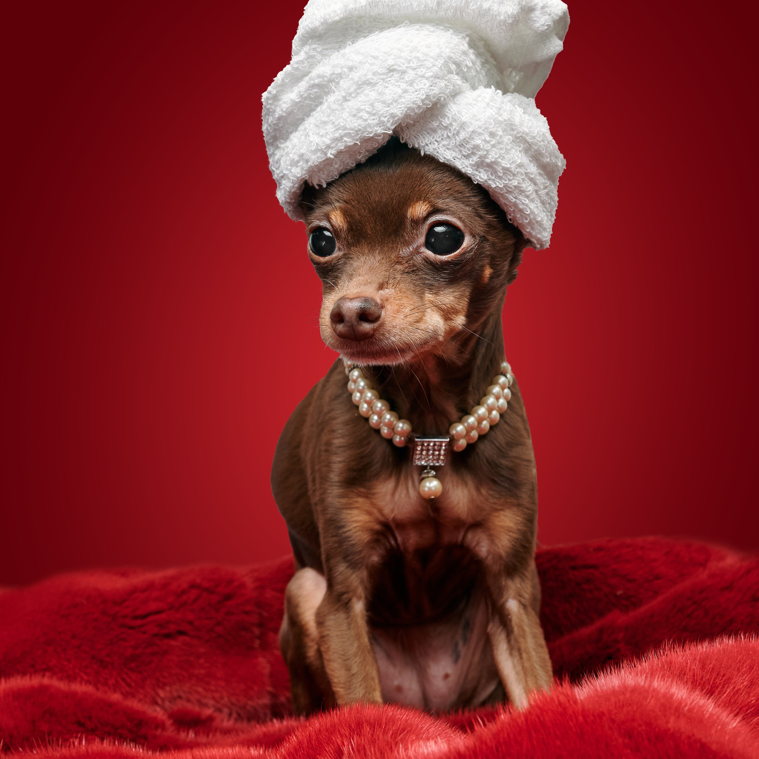 Лучший живой курс по свету! Научу не просто повторять схемы из интернета, но и придумывать свои собственные! Быстро, ёмко, без воды!