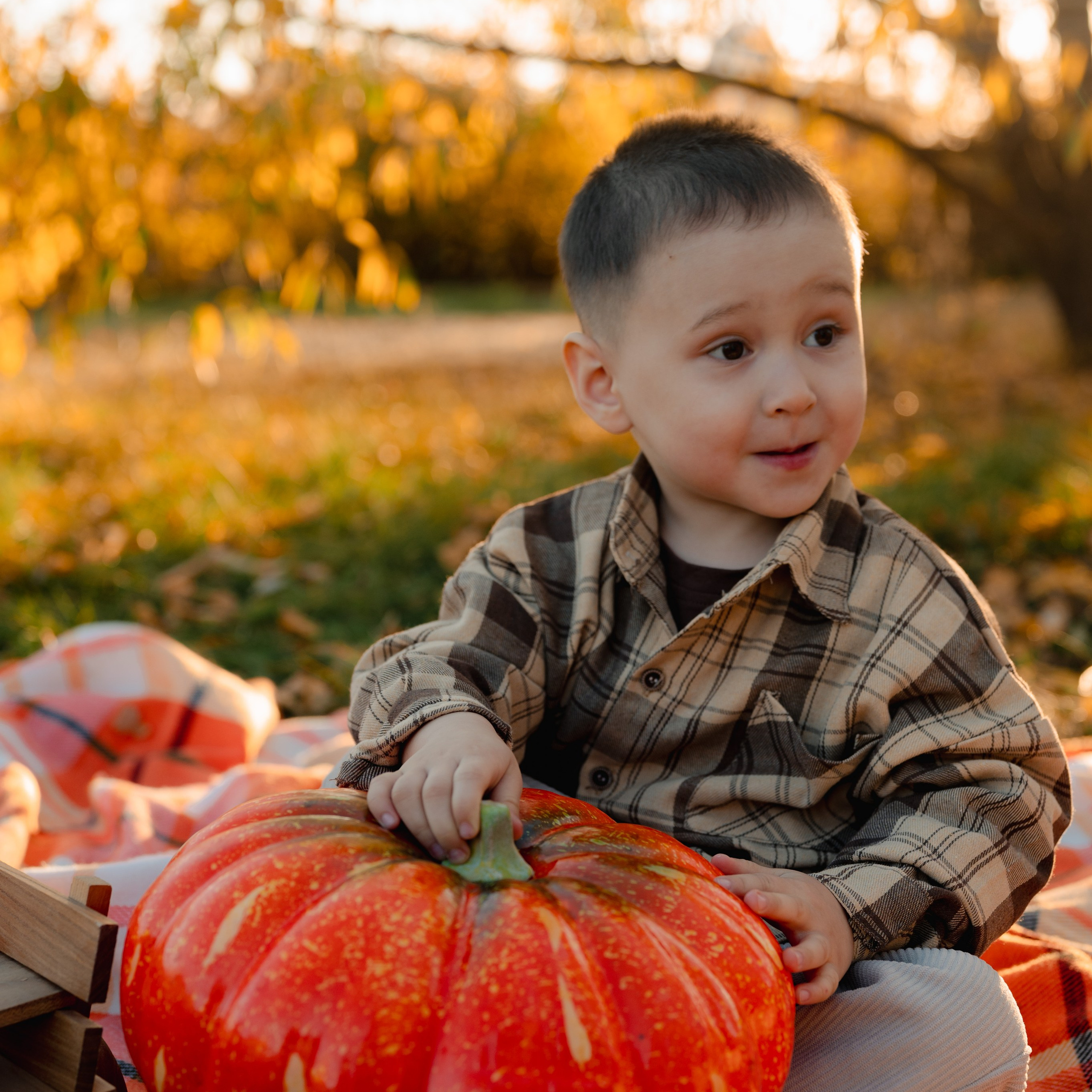 Услуги. Фотограф Астана