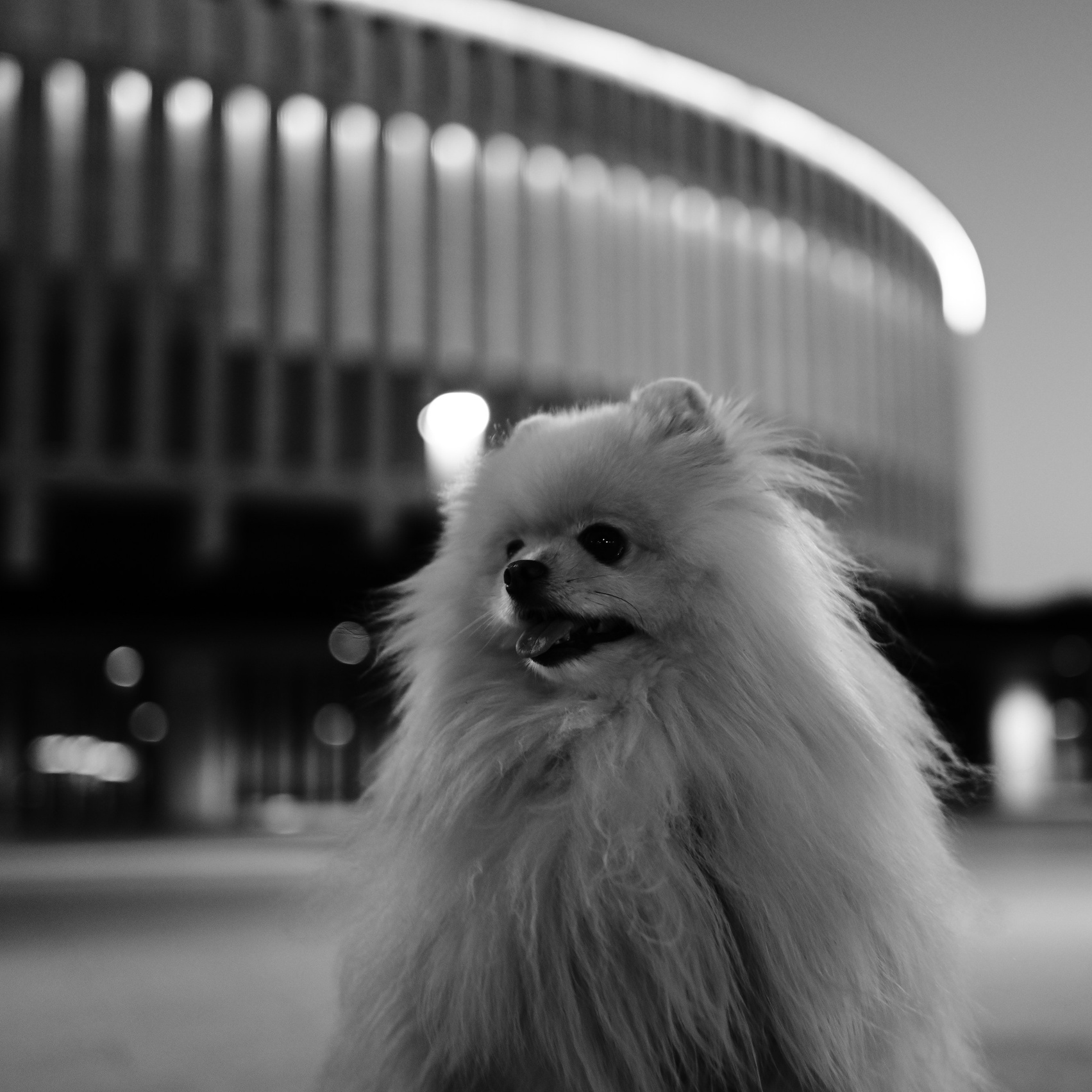 Контакты. Крым