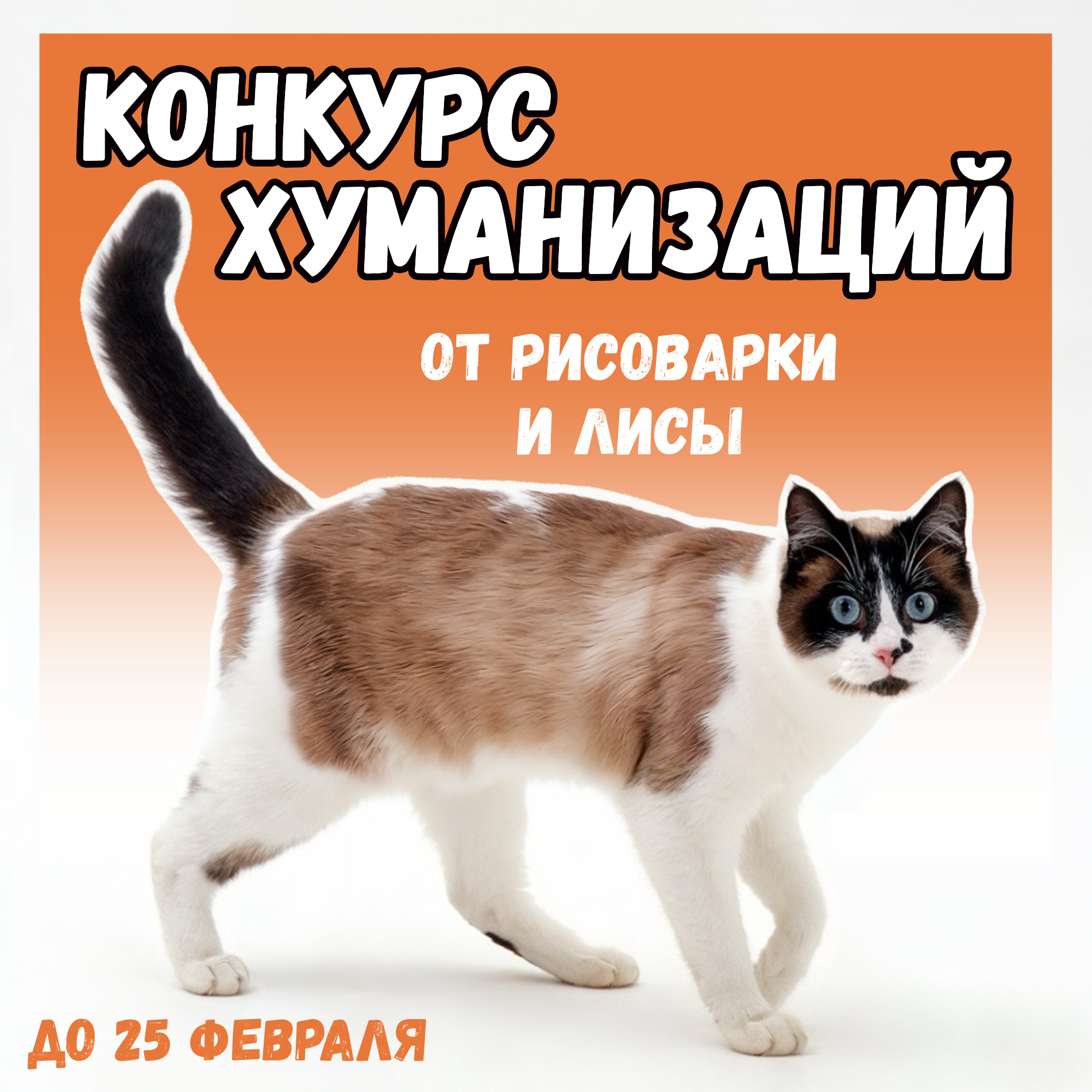 Встречи художников. Сообщество художников. Встречи в Москве и Санкт-Петербурге