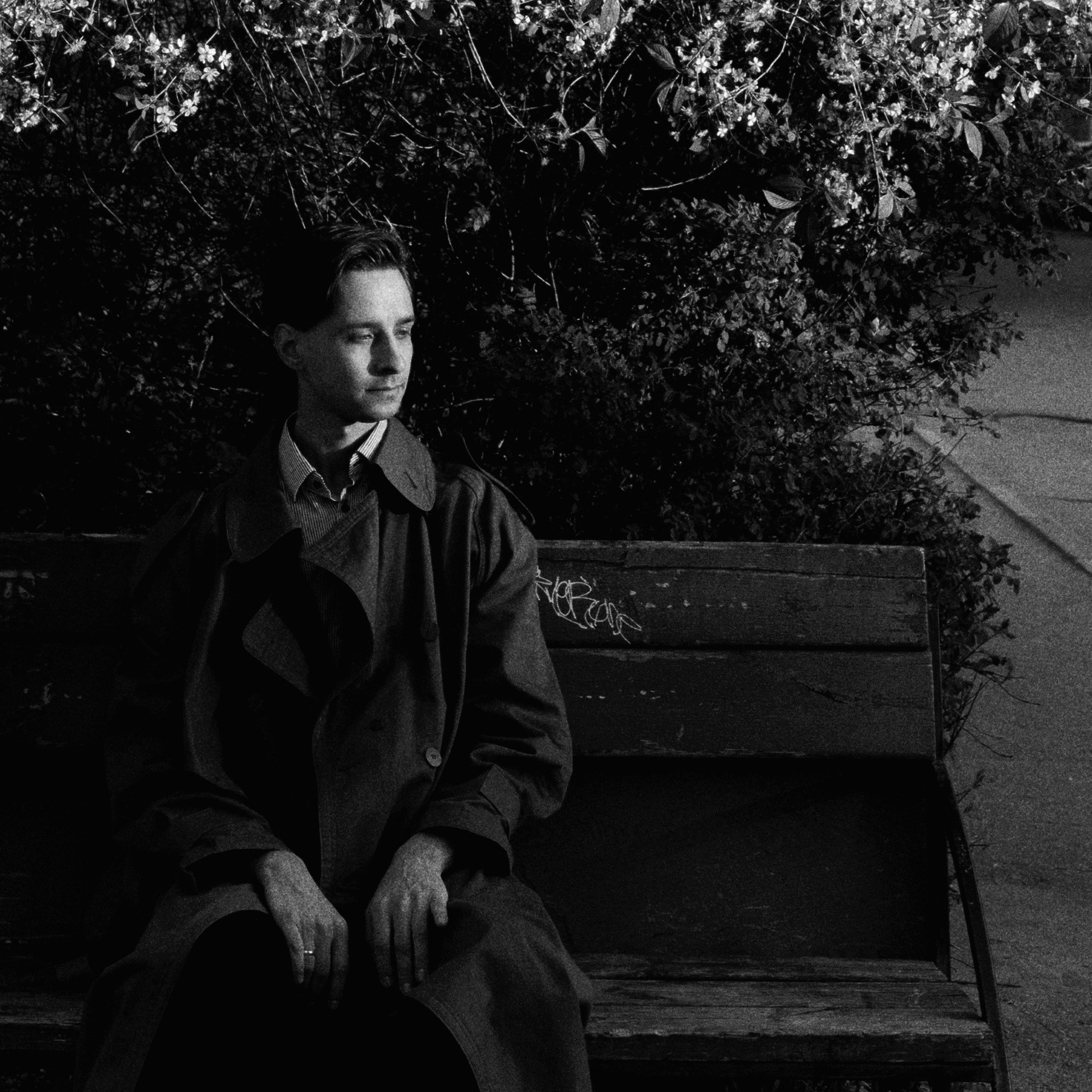 КОРНЕЙ. «ФотоСинтез»