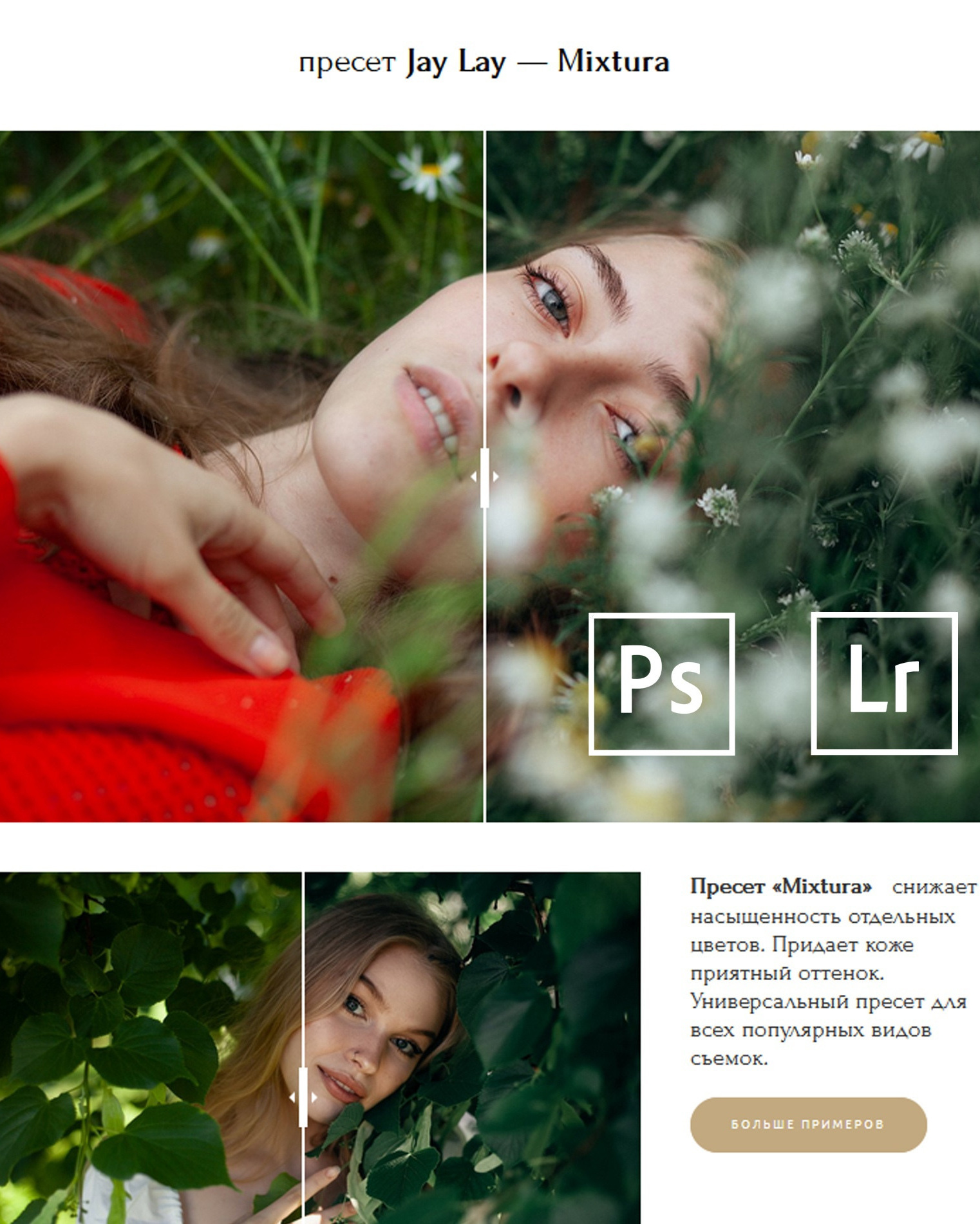 Установка пресетов в Adobe Lightroom и Camera Raw. Обучающий блог фотографа Jay Lay | Фотограф Казань