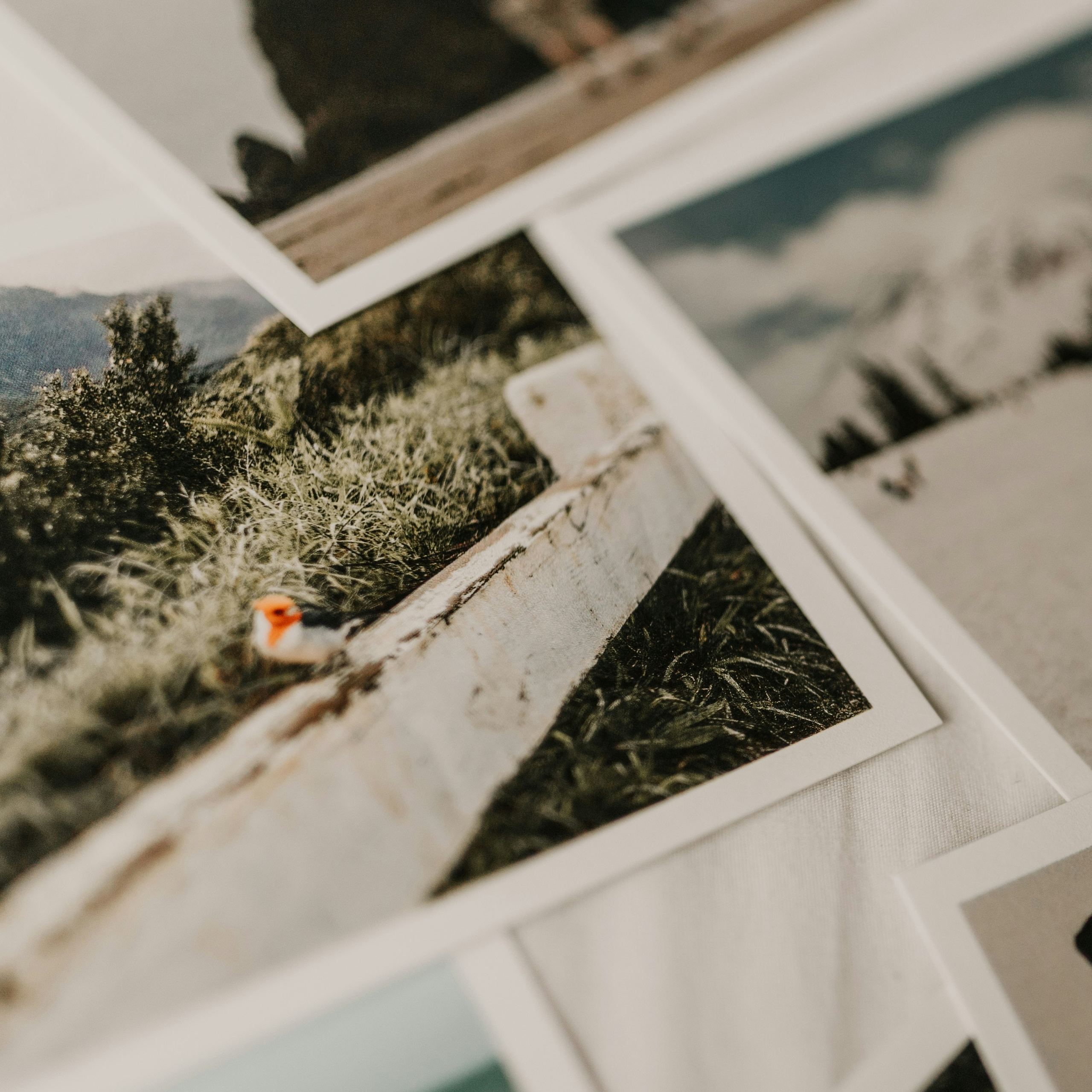 Научиться делать красивые фотографии