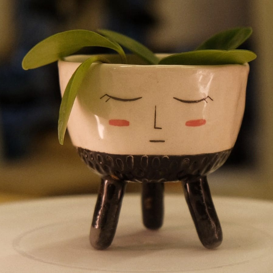 Набор кашпо «Цветы в лицах». Декор для дома