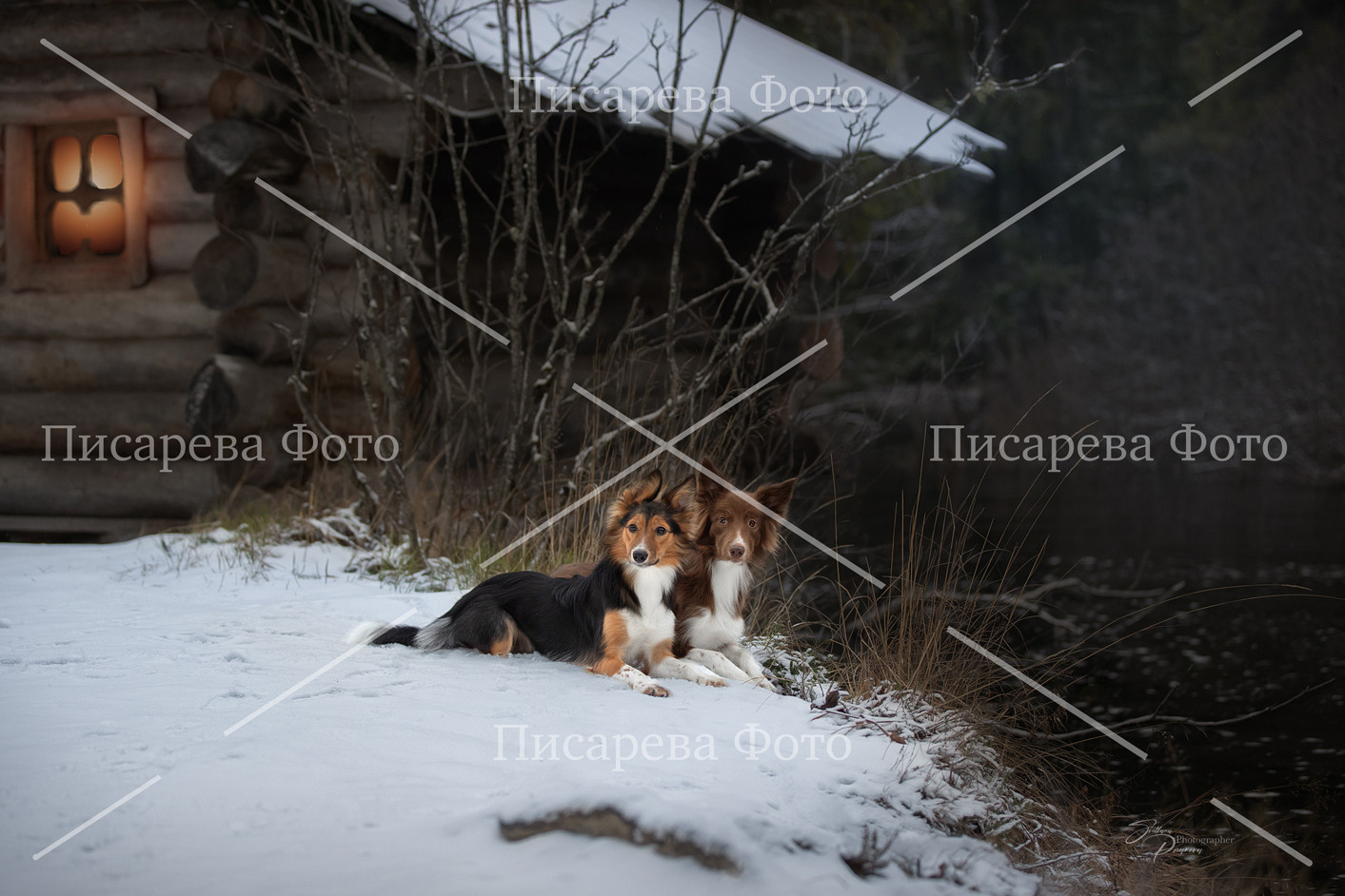 Две собаки лежат на берегу реки на фоне избушки