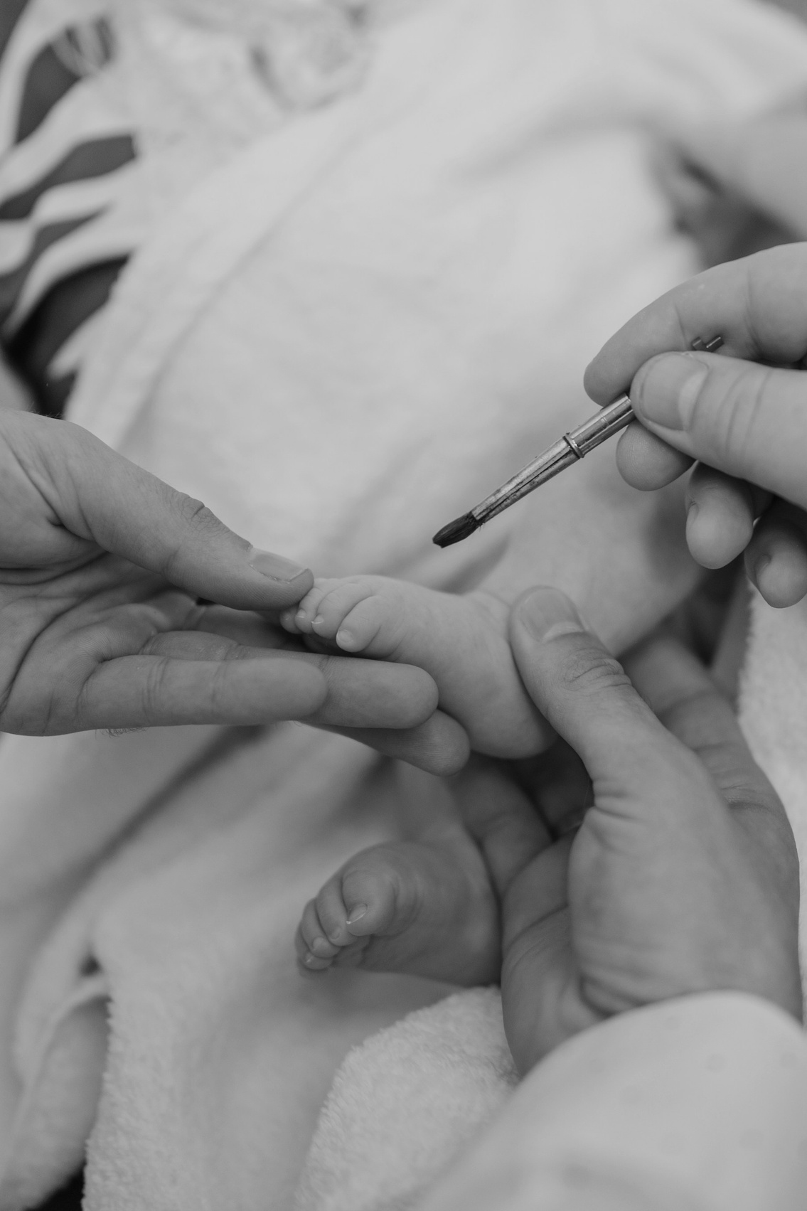 Услуги и цены. Фотограф Ольга Мызникова