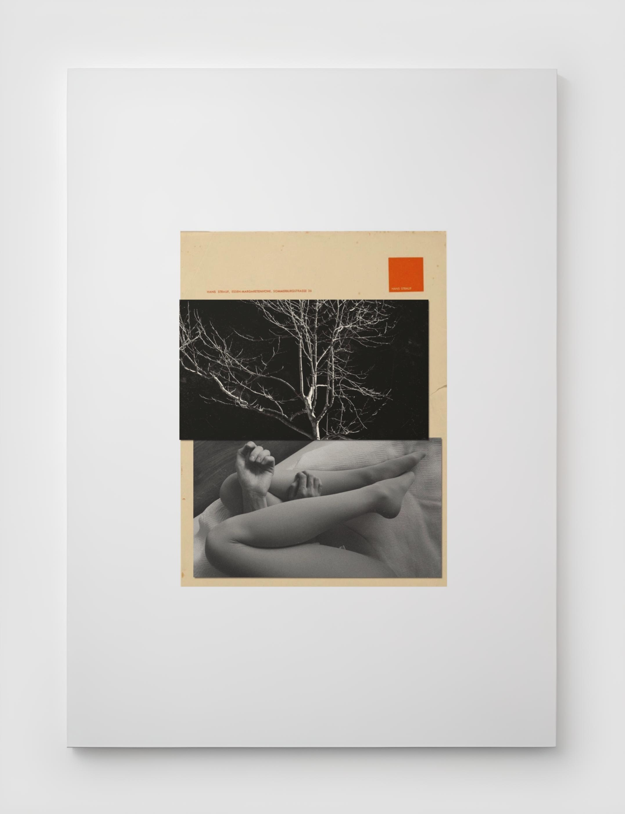 PRINTS. Маргарита Логай. Фотограф и режиссер в Санкт-Петербурге, Москве, Сочи