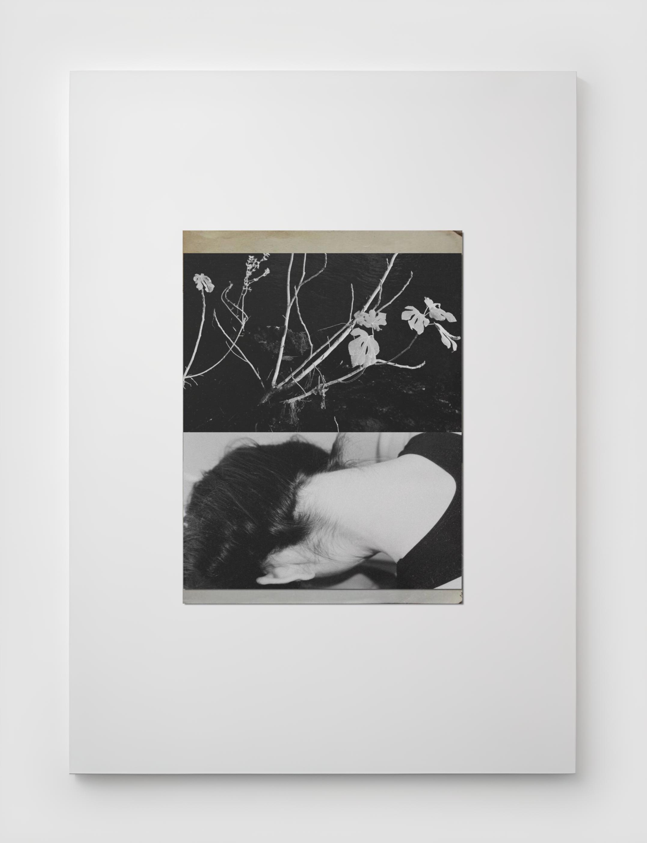 PRINTS. Маргарита Логай. Фотограф и режиссер в Санкт-Петербурге, Москве, Сочи