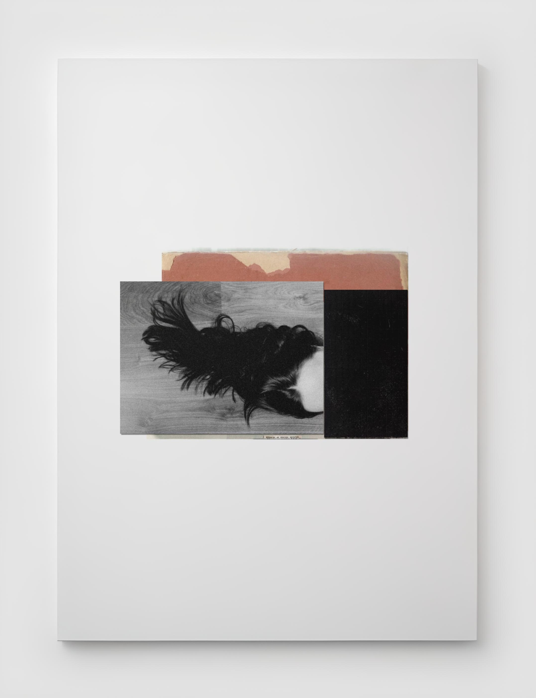 PRINTS. Маргарита Логай. Фотограф и режиссер в Санкт-Петербурге, Москве, Сочи