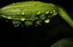 marinelafoto.ru