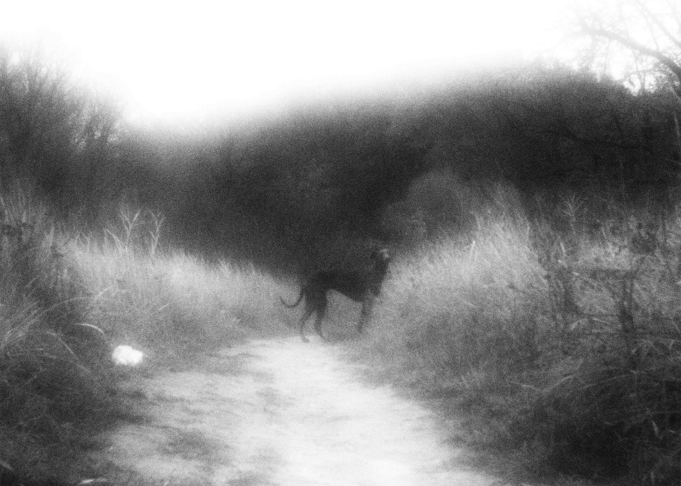 Аверьянова Валентина. Организация фотовыставок в Петербурге и Москве, MFamilia (МФамилия)